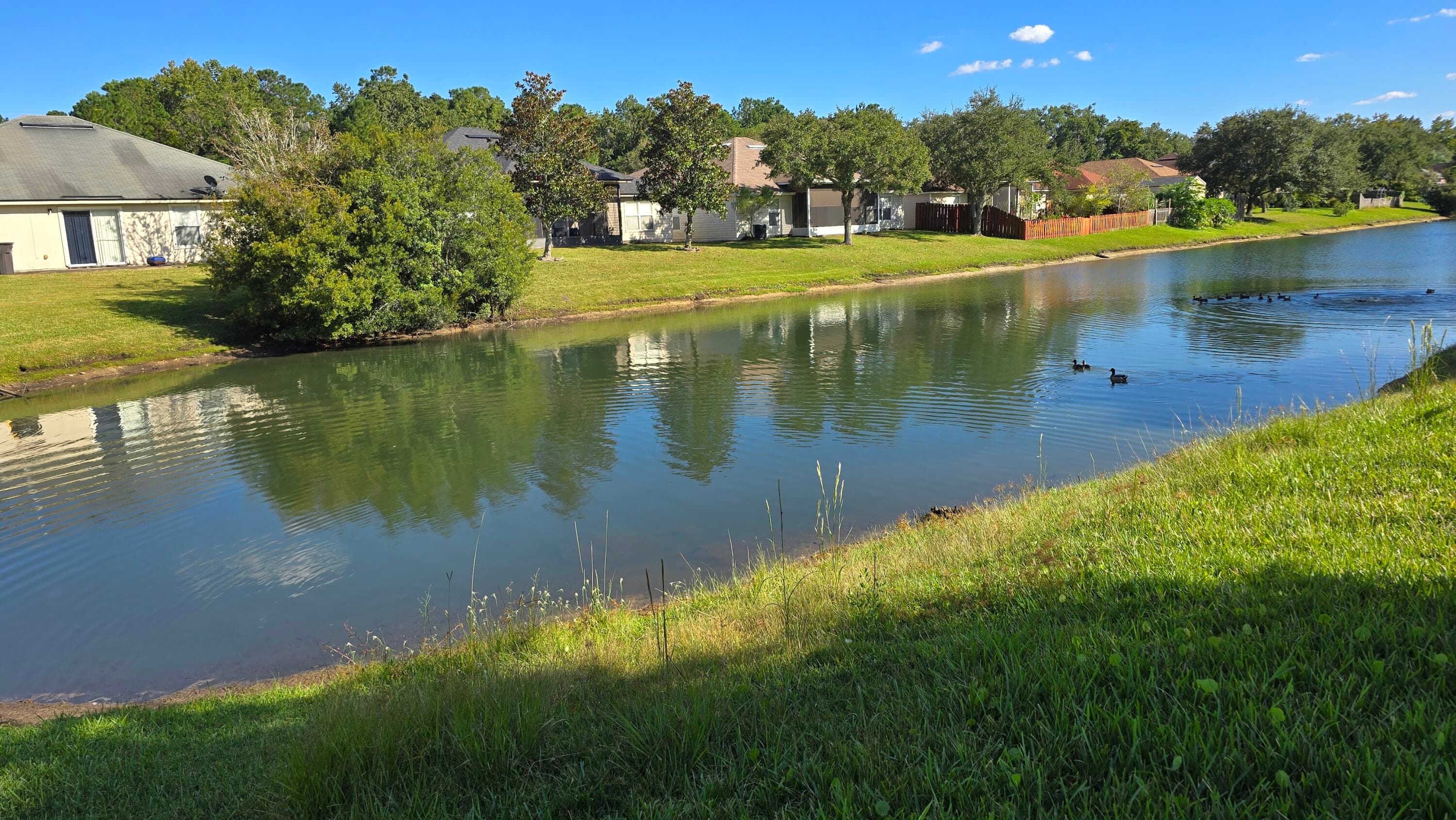 6419 Blue Leaf Lane, Jacksonville, FL 32244 — photo 4 of 21