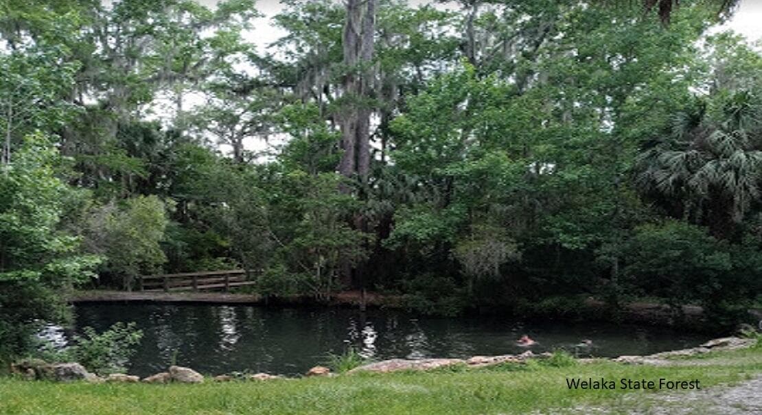 208 Garrison Avenue, Georgetown, FL 32139 — photo 3 of 6