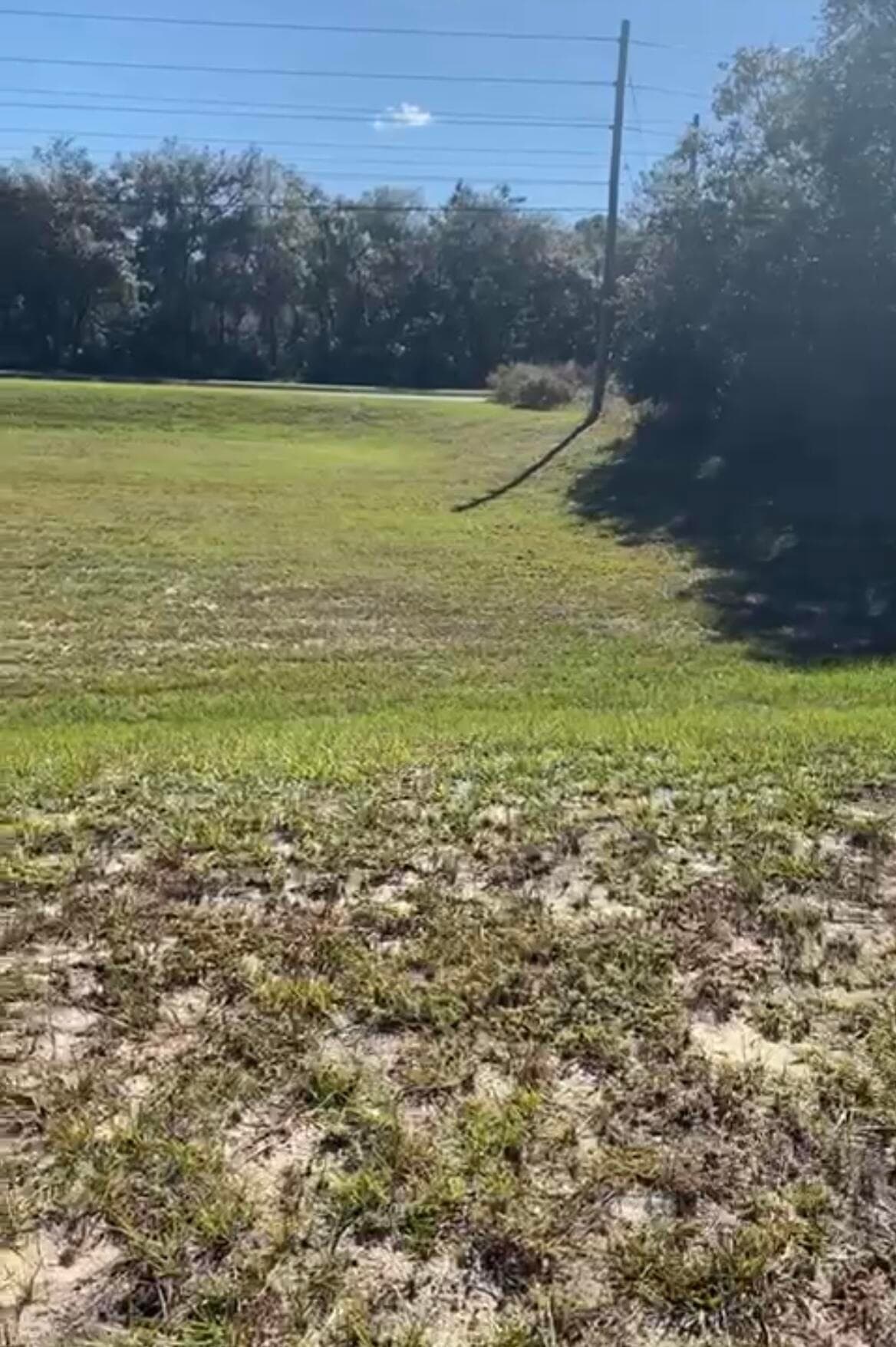 4017 SW 133rd Loop, Ocala, FL 34473 — photo 1 of 5