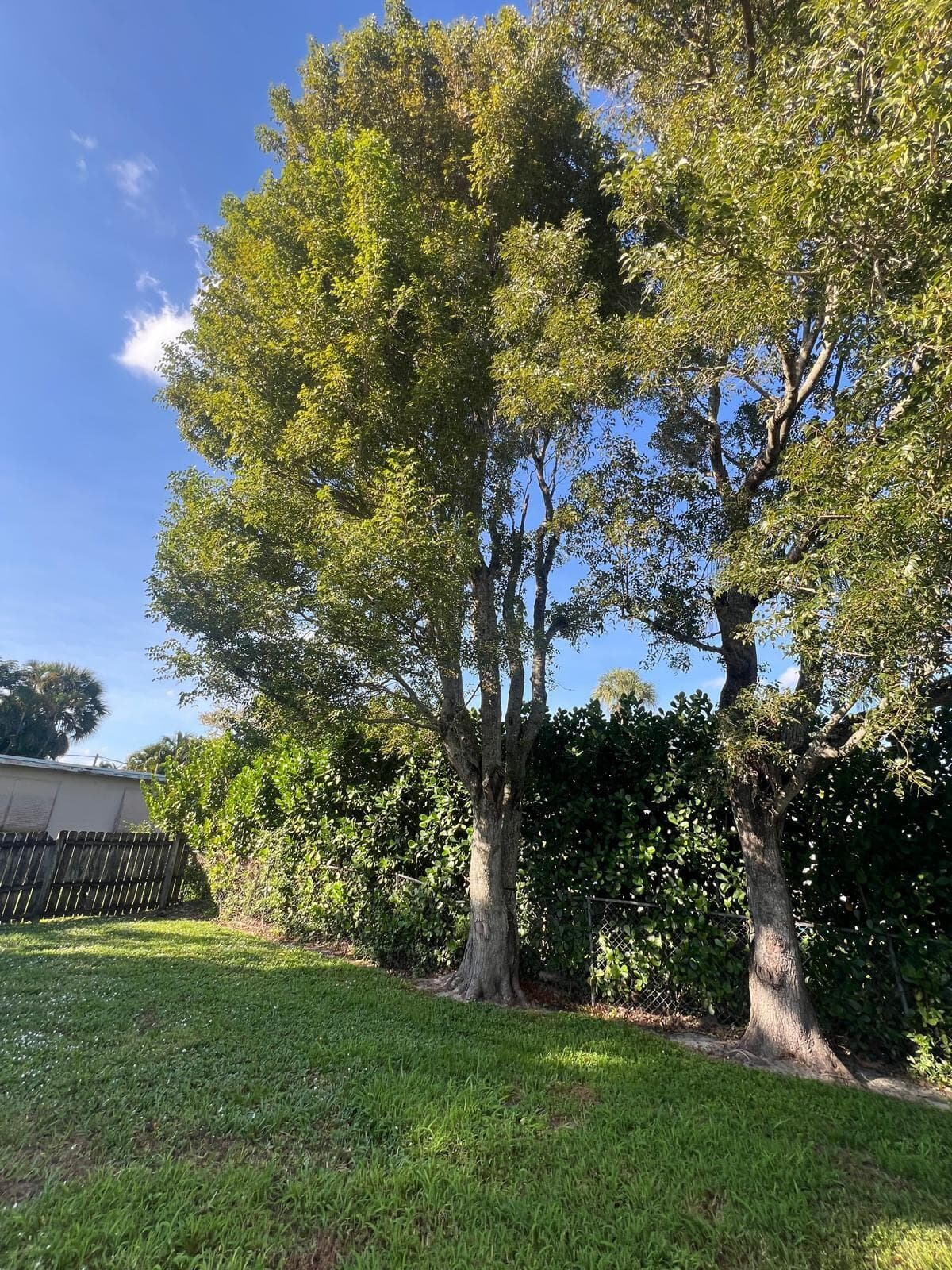 700 N Hepburn Avenue N, Jupiter, FL 33458 — photo 4 of 16