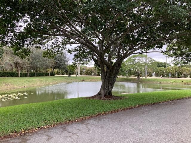 2820 Tennis Club Drive 401, West Palm Beach, FL 33417 — photo 18 of 18