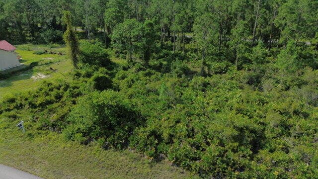 1115 Chiefland Street E, Lehigh Acres, FL 33974 — photo 4 of 4