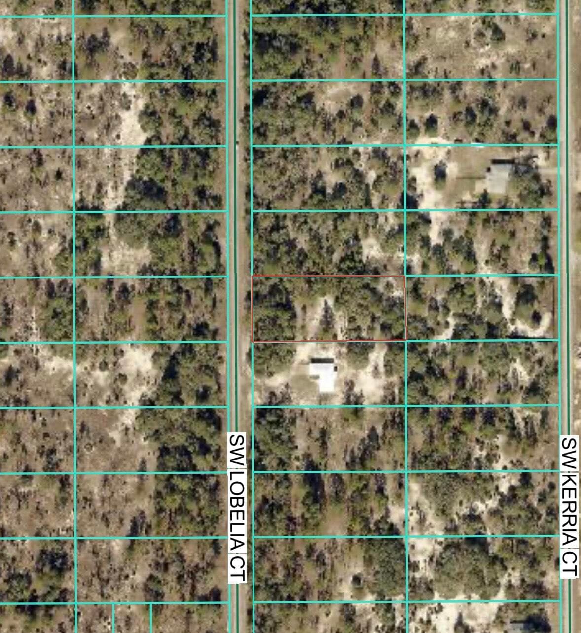 Tbd Lot 35 SW Lobelia Court, Dunnellon, FL 34431 — photo 3 of 10