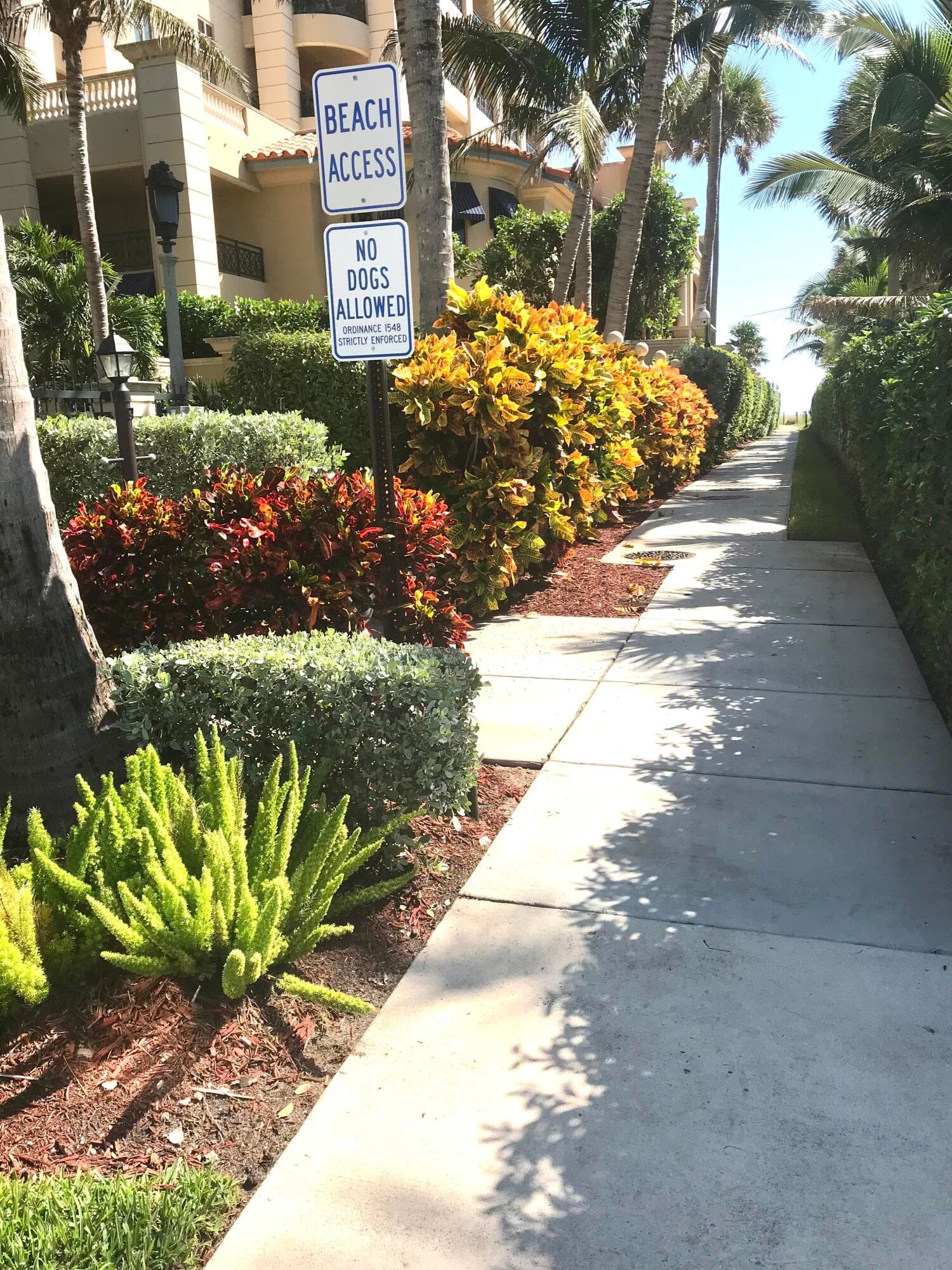 930 Osceola Drive 8, Boca Raton, FL 33432 — photo 5 of 33