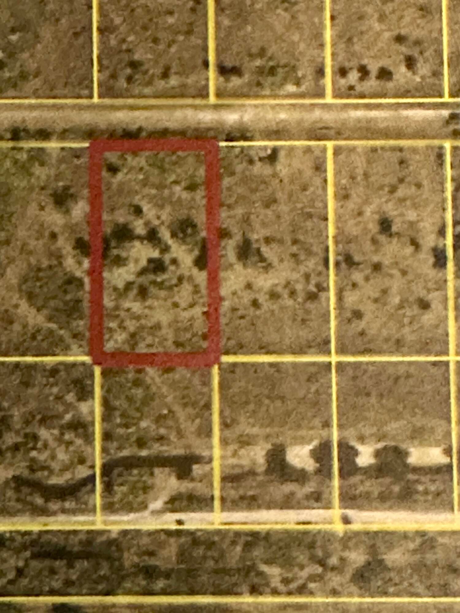 22076 NW 242nd Street, Okeechobee, FL 34972 — photo 1 of 2