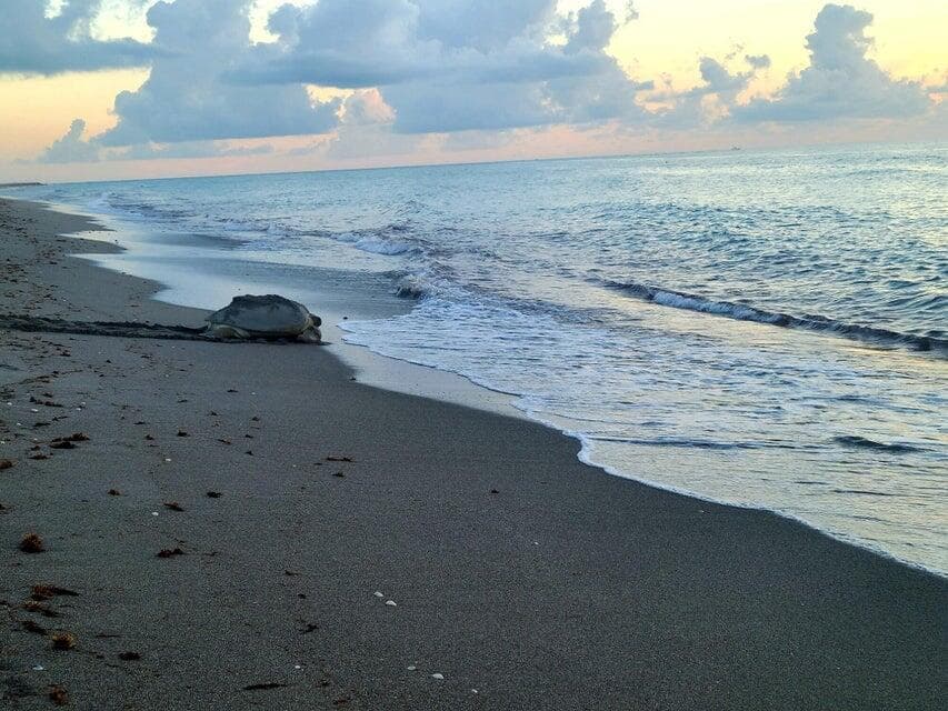0000 SE Federal Highway, Jupiter, FL 33469 — photo 12 of 12