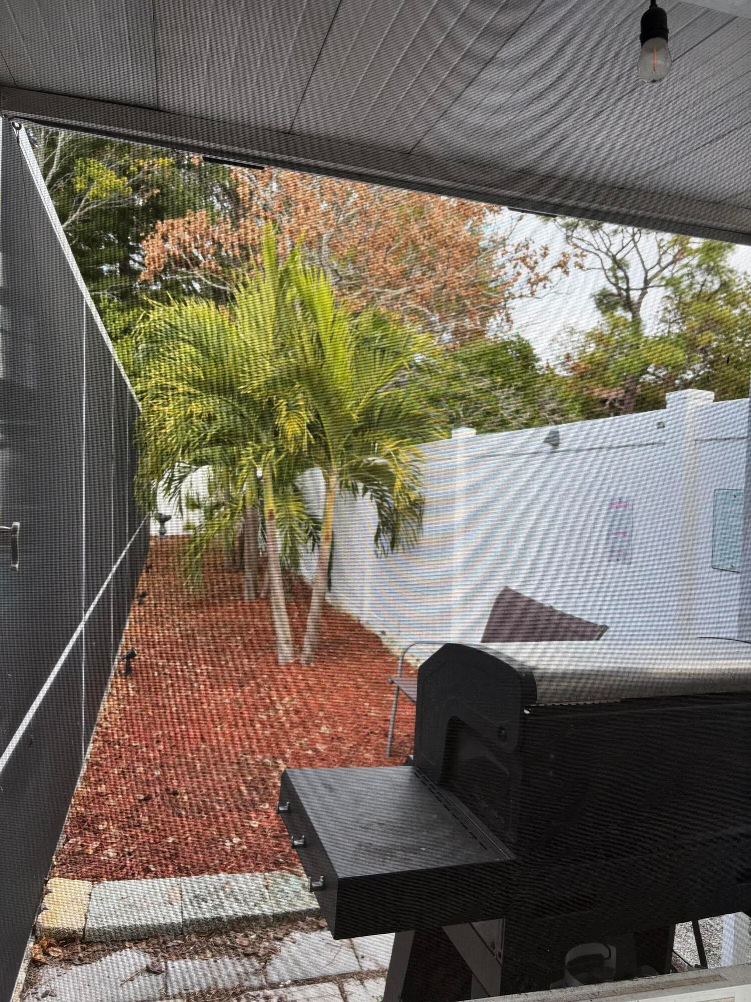 1105+1107 Amble Lane, Clearwater, FL 33755 — photo 20 of 29