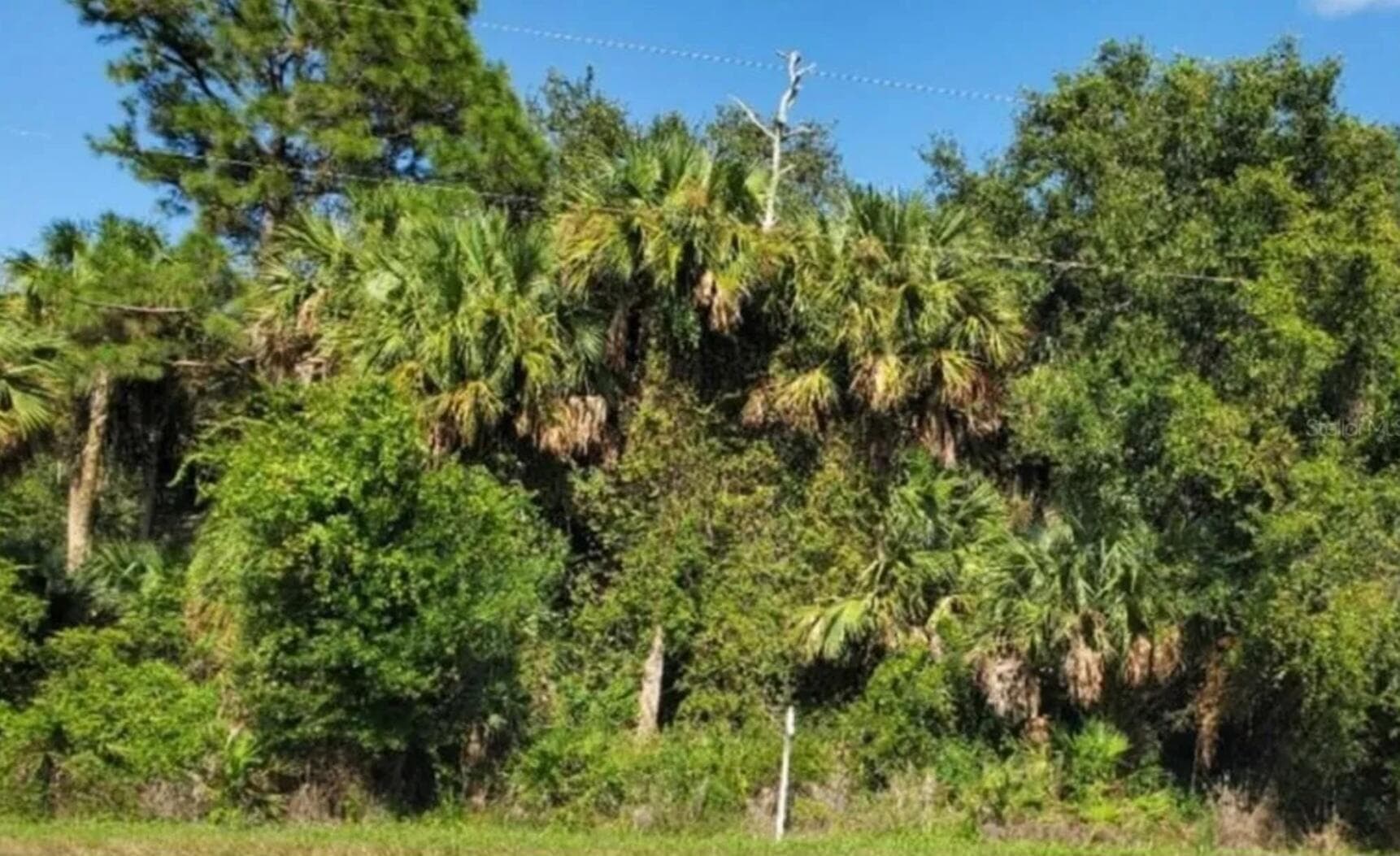 3804 Hwy 98 N, Okeechobee, FL 34972 — photo 2 of 6