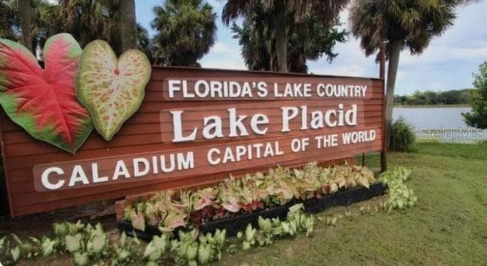 450 Kemper Avenue, Lake Placid, FL 33852 — photo 4 of 64