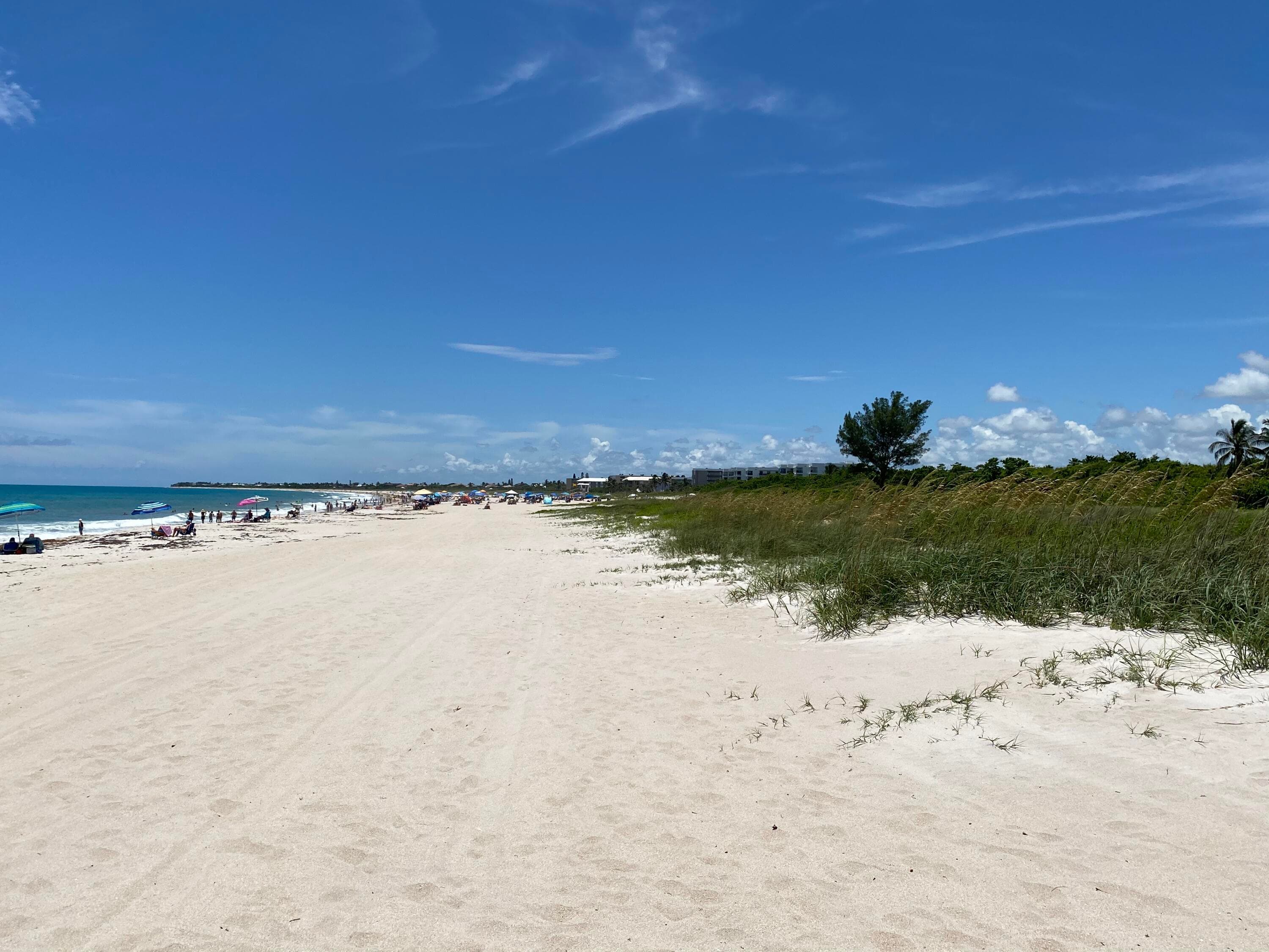 956 Tulip Lane, Vero Beach, FL 32963 — photo 47 of 52