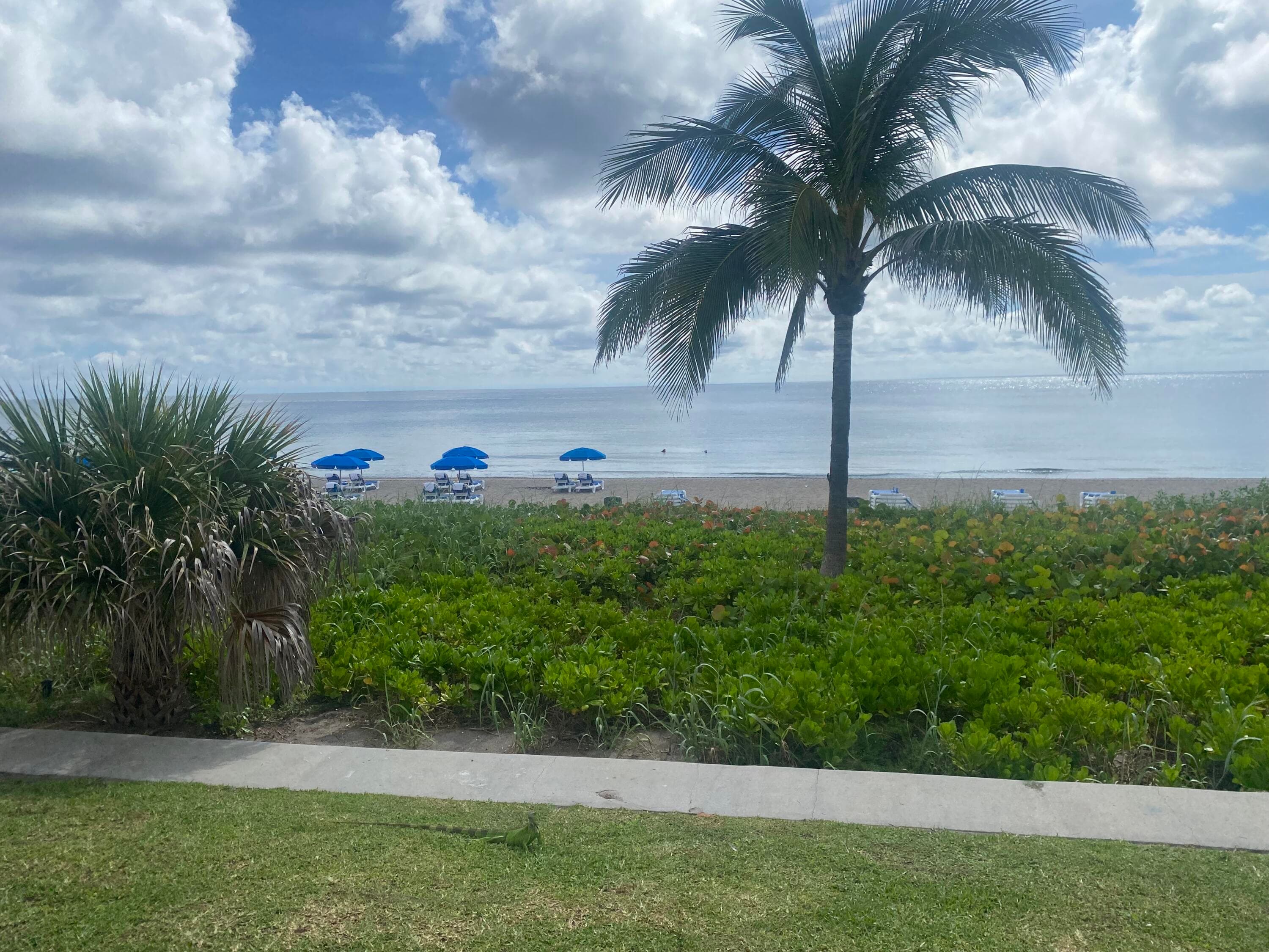 298 SW 6th Street 109, Boca Raton, FL 33432 — photo 37 of 39