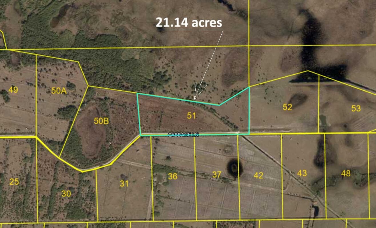 Lot 51 Cabbage Lane, Okeechobee, FL 34974 — photo 3 of 5