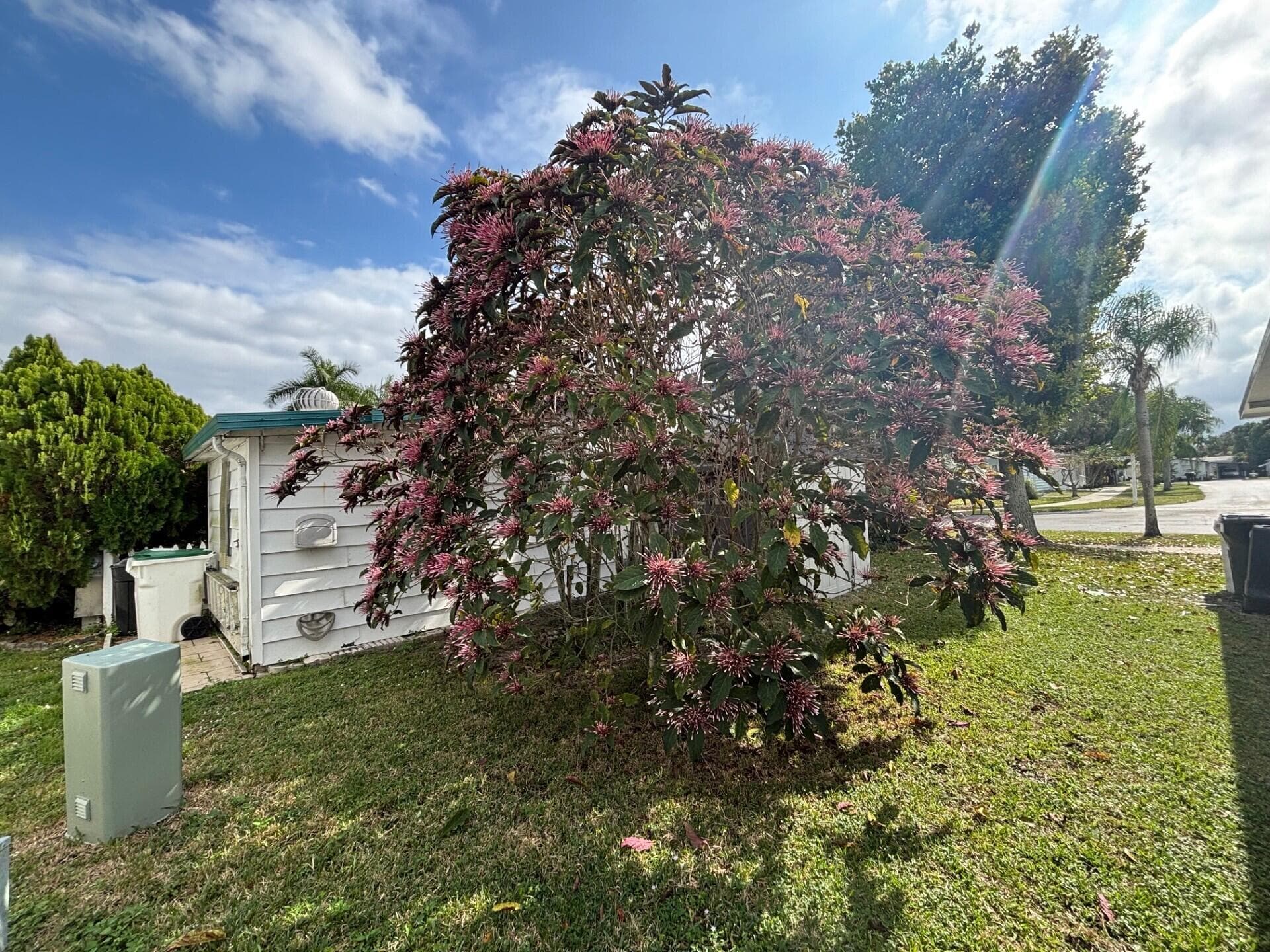 6503 NW 34th Ave, Coconut Creek, FL 33073 — photo 27 of 28