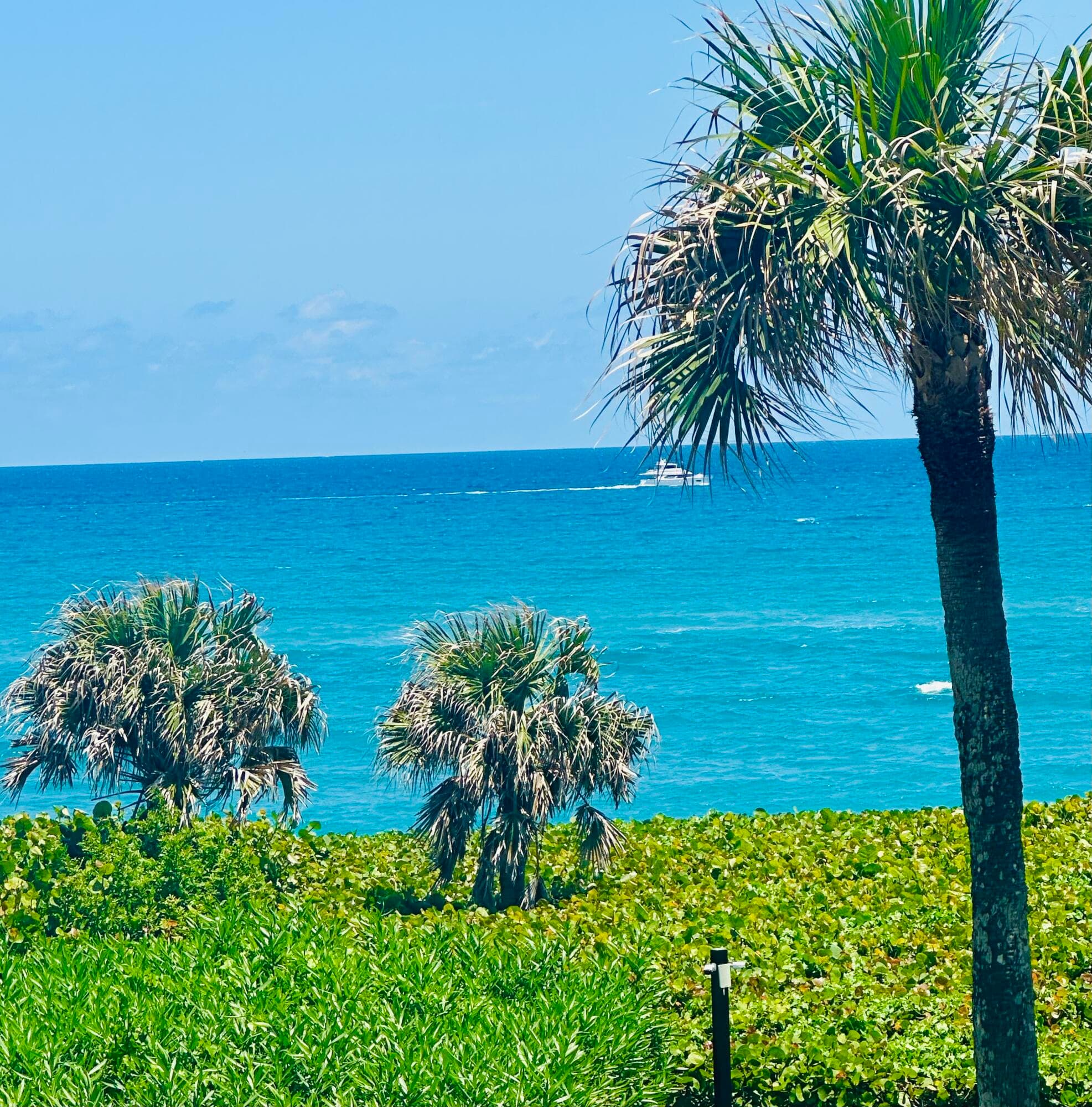 420 Celestial Way 301, Juno Beach, FL 33408 — photo 21 of 73