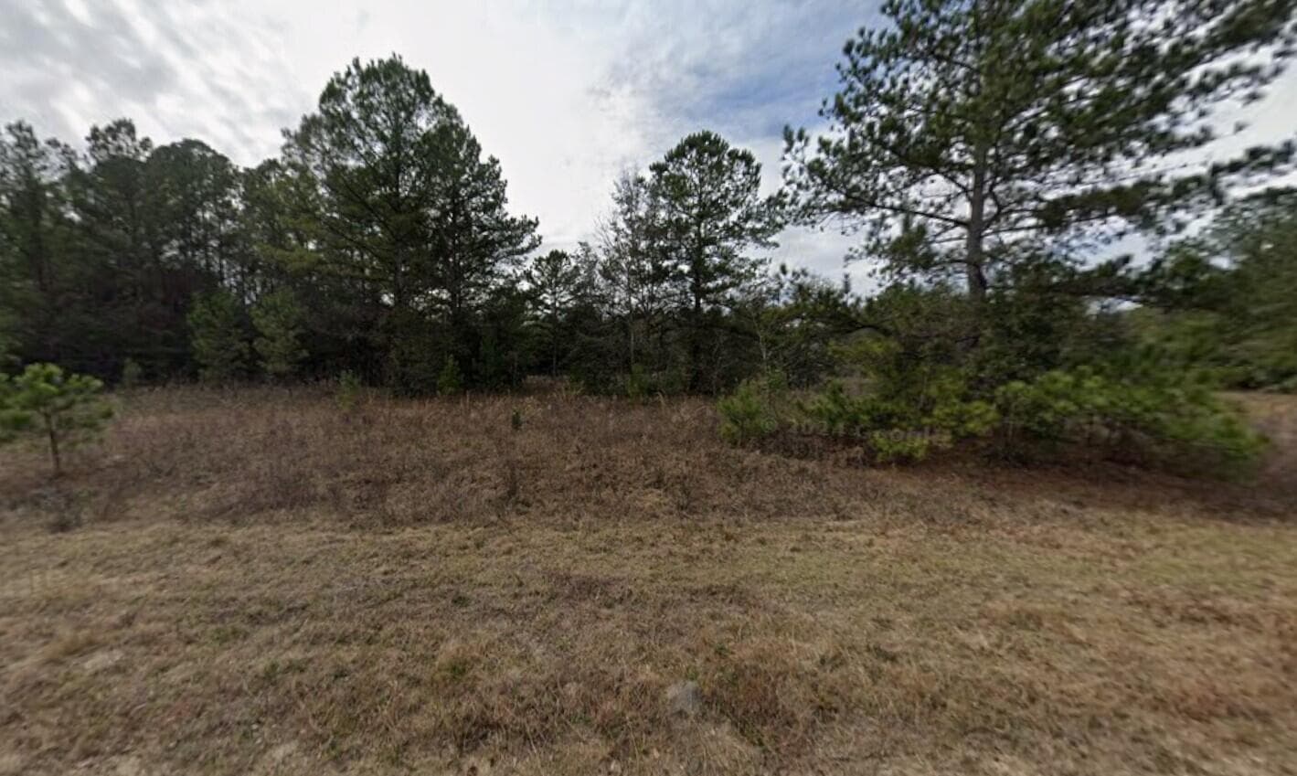 Tbd Maltas Avenue, Interlachen, FL 32148 — photo 4 of 9