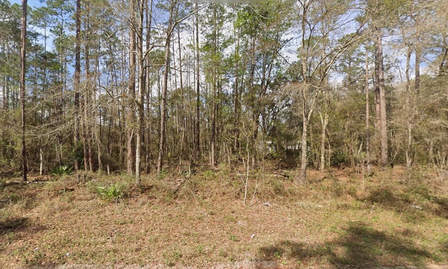 Tbd Seminole Avenue, Interlachen, FL 32148 — photo 6 of 10