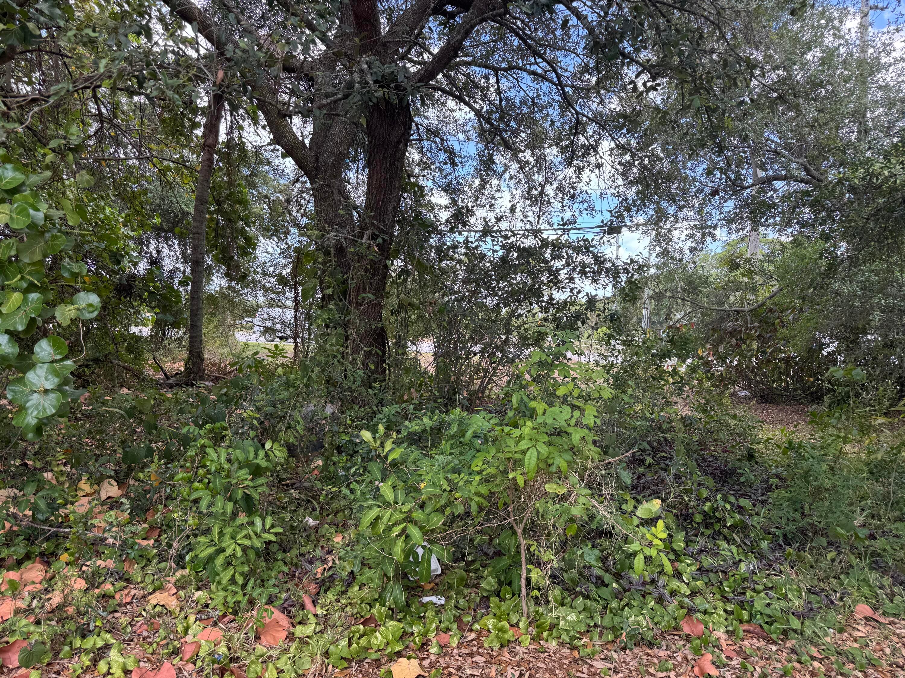 3358 S Jog Road, Greenacres, FL 33467 — photo 7 of 16