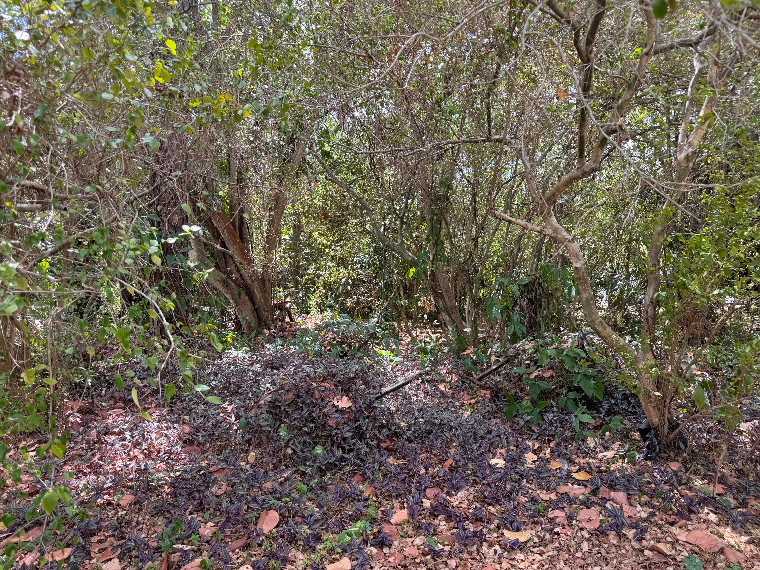 3358 S Jog Road, Greenacres, FL 33467 — photo 12 of 16