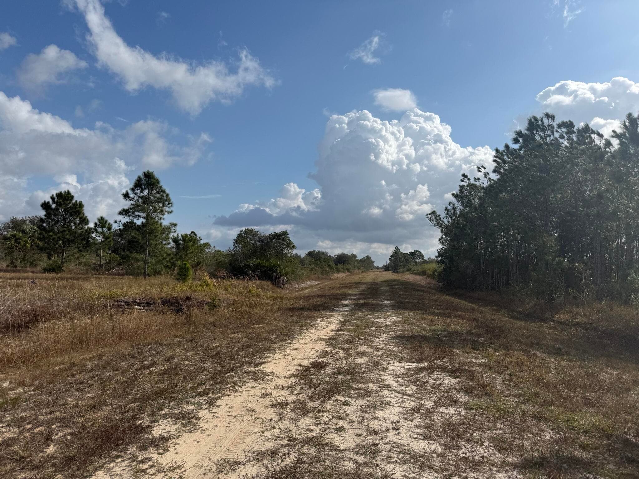 16375 NW 314th Street, Okeechobee, FL 34972 — photo 2 of 13