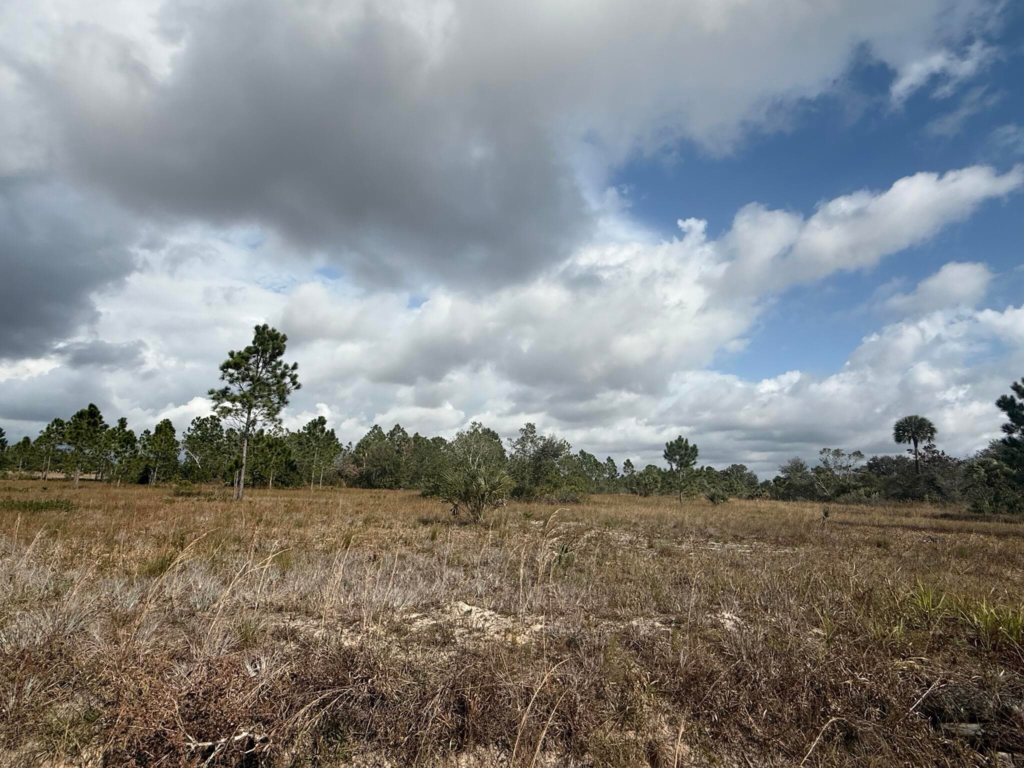 16375 NW 314th Street, Okeechobee, FL 34972 — photo 4 of 13