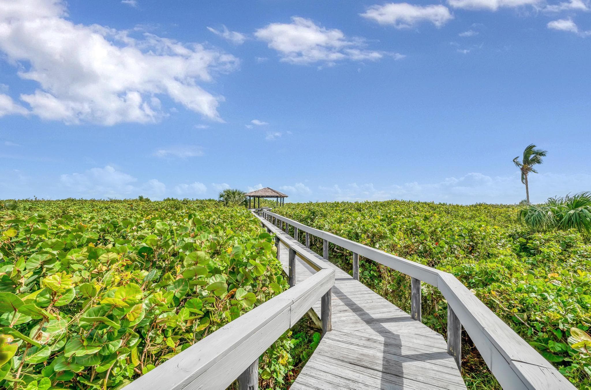 2800 N Highway A1a 302, Hutchinson Island, FL 34949 — photo 27 of 50