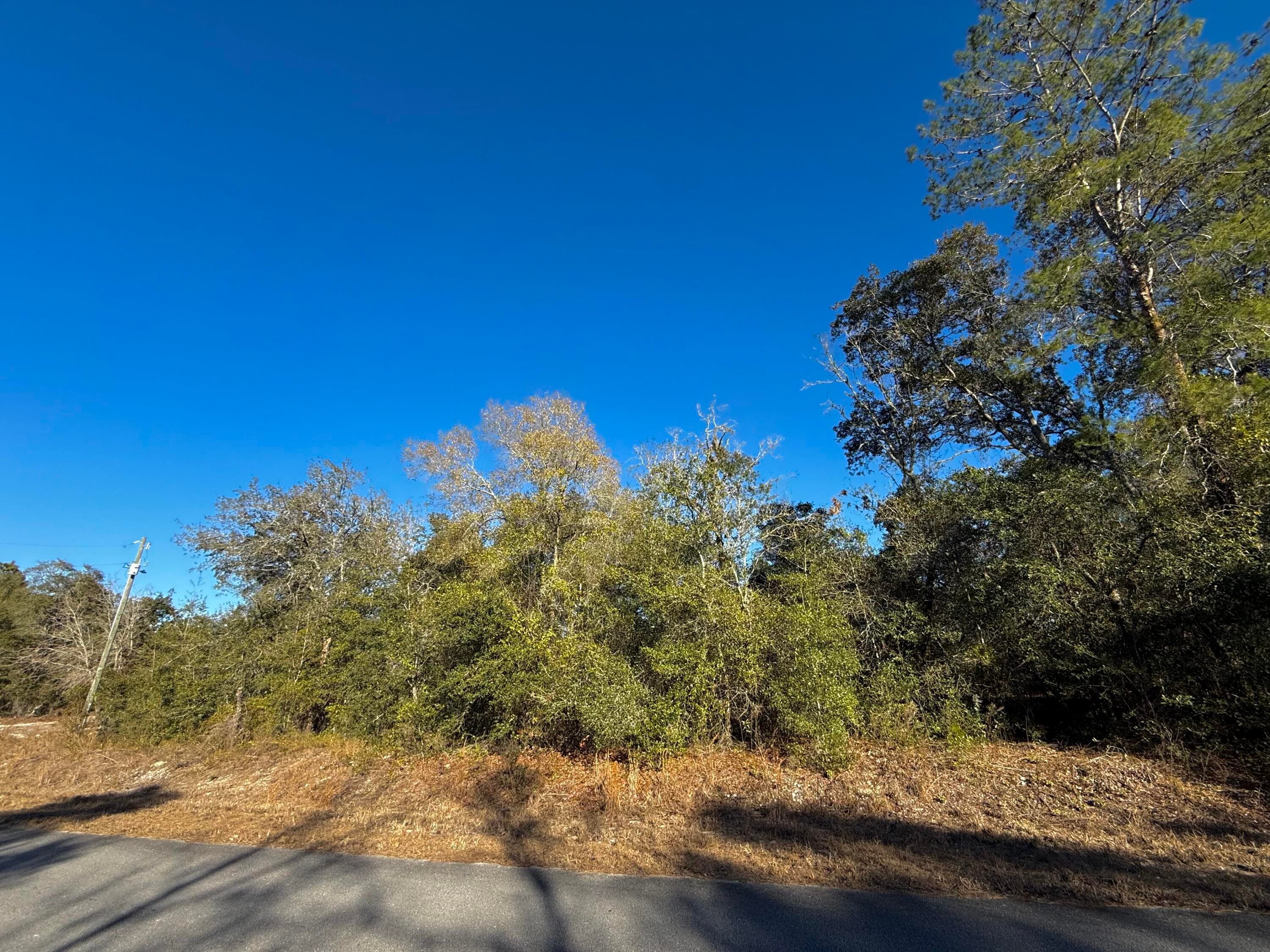 Tbd Lot 35 SW Lobelia Court, Dunnellon, FL 34431 — photo 6 of 10