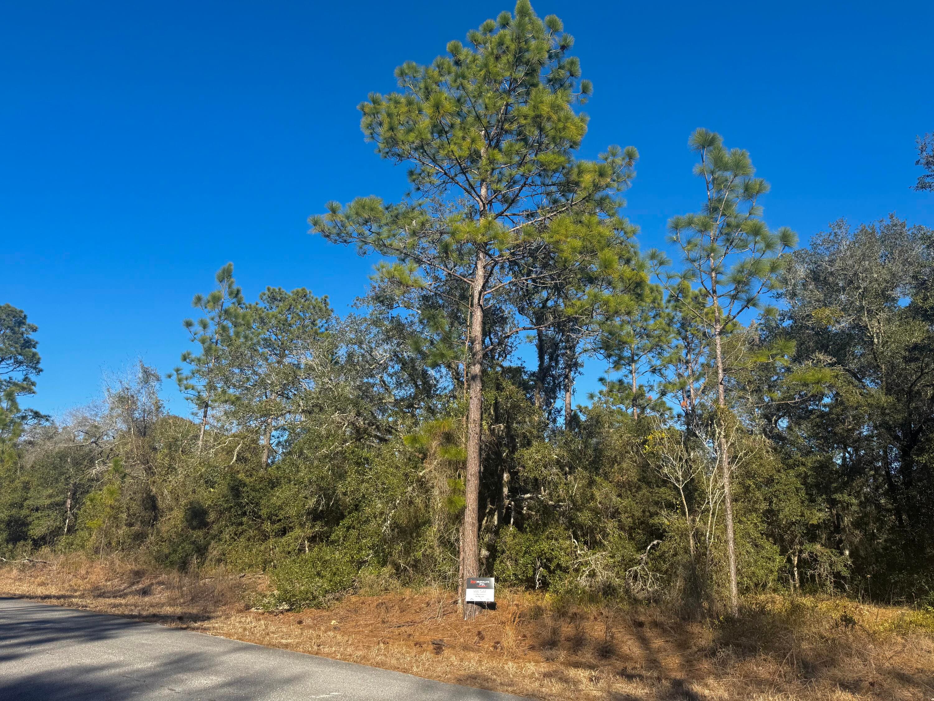 Tbd Lot 35 SW Lobelia Court, Dunnellon, FL 34431 — photo 7 of 10