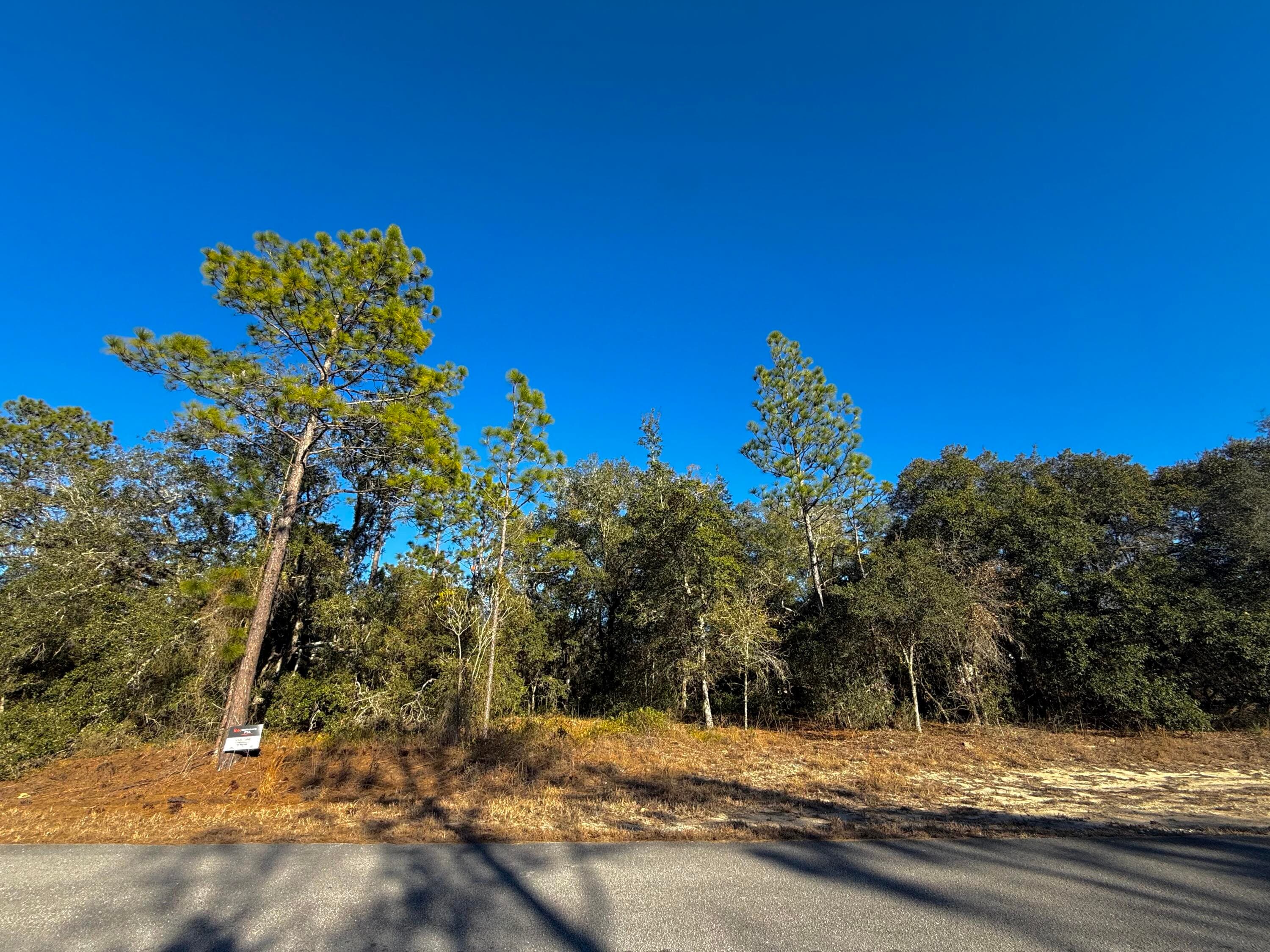 Tbd Lot 35 SW Lobelia Court, Dunnellon, FL 34431 — photo 9 of 10