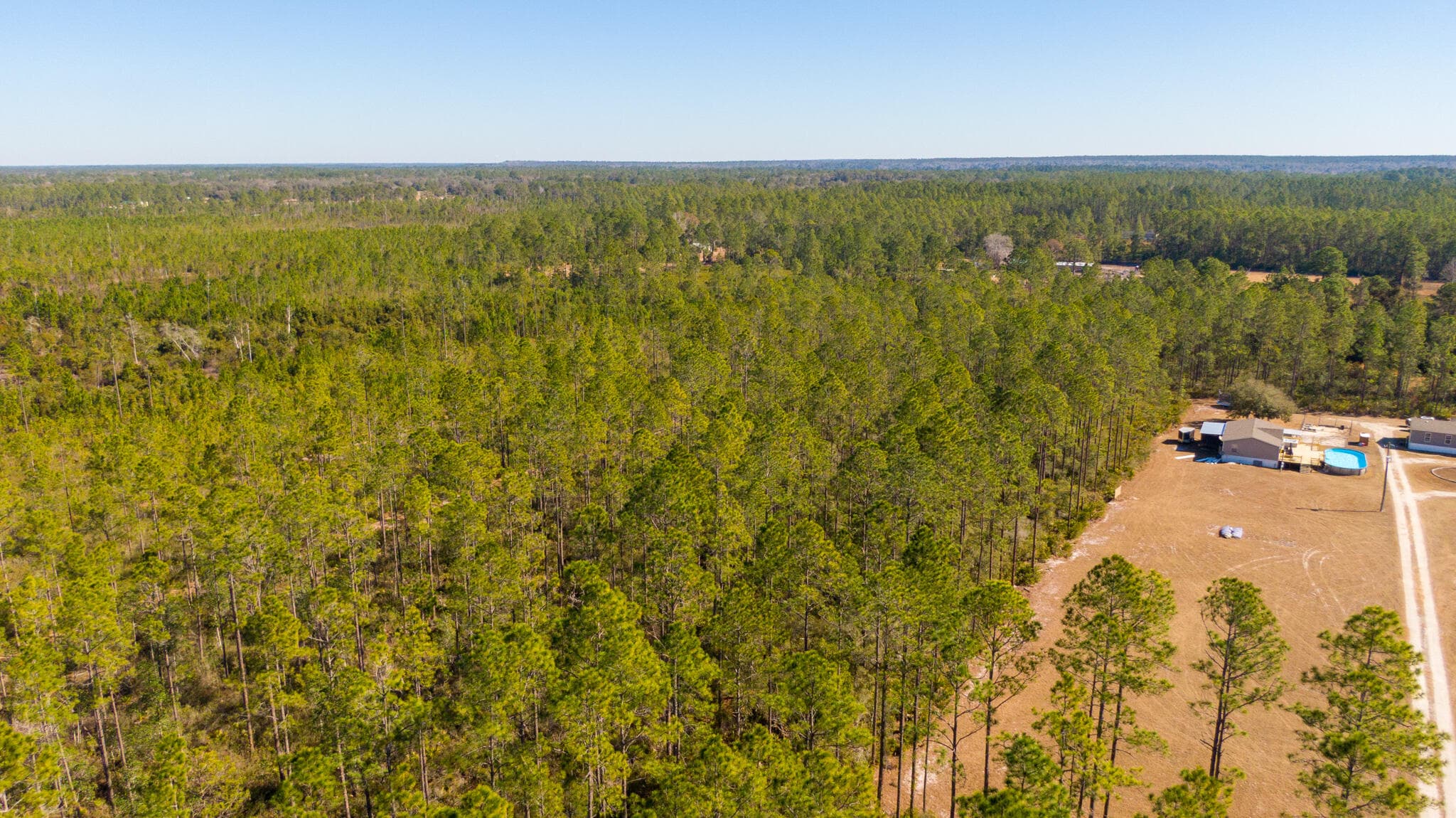 0000 Ne 125th Ave, Fort McCoy, FL 32134 — photo 5 of 8