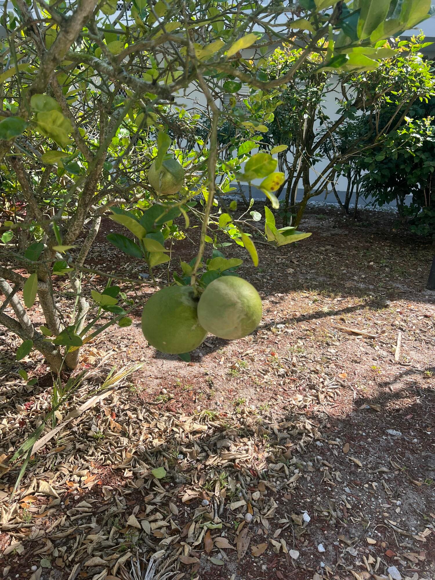 2302 Sunrise 3-201, Fort Pierce, FL 34949 — photo 4 of 33