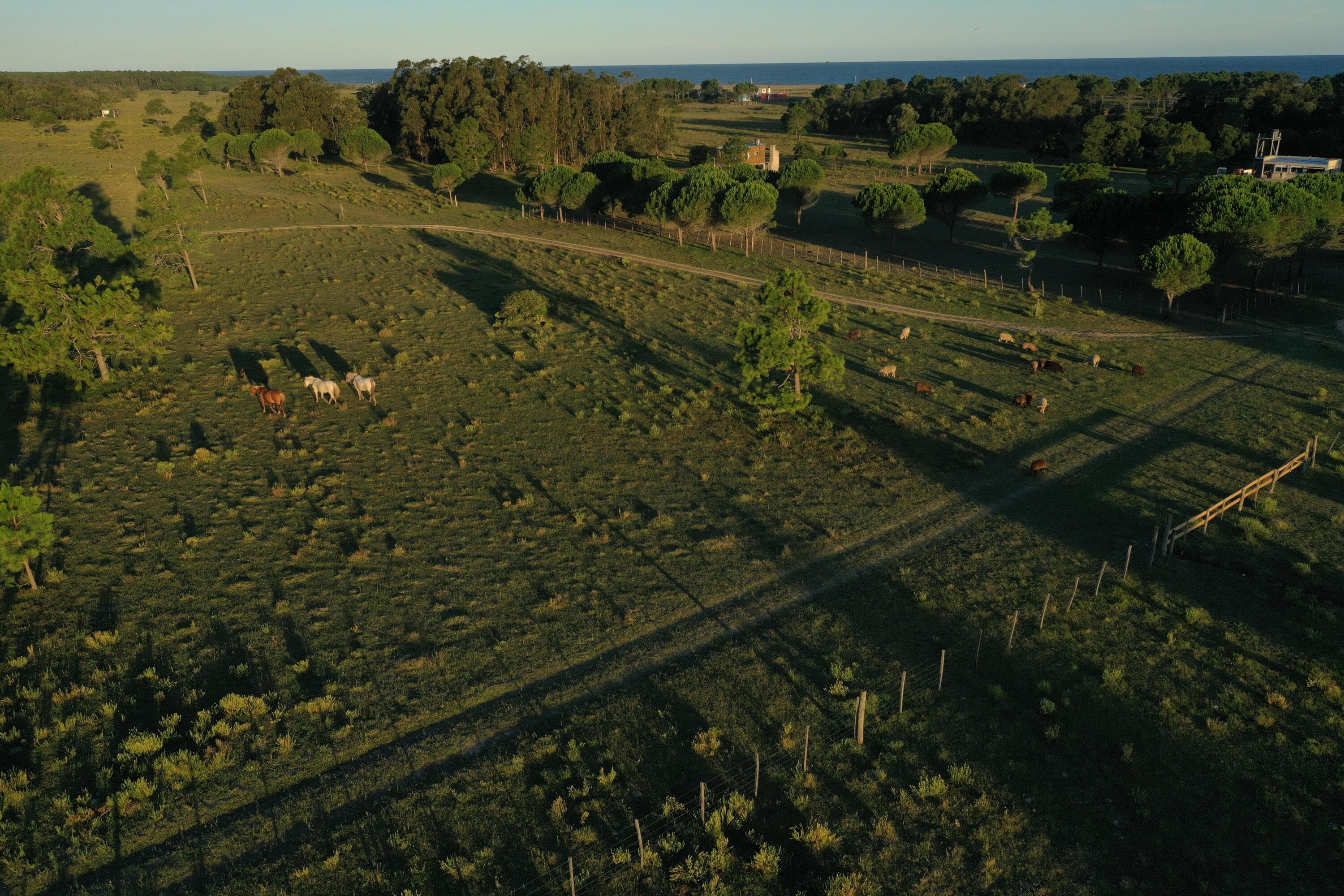 54209 Punta Del Diablo — photo 22 of 56