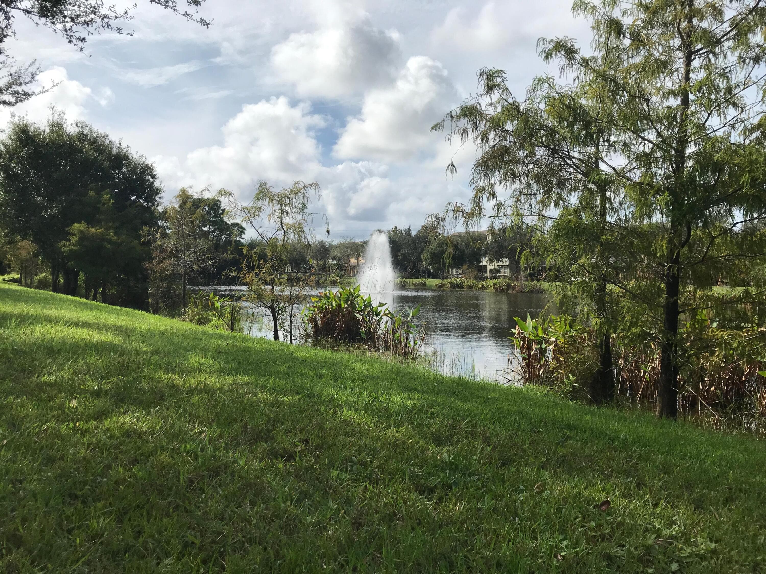 141 E Thatch Palm Circle, Jupiter, FL 33458 — photo 4 of 27