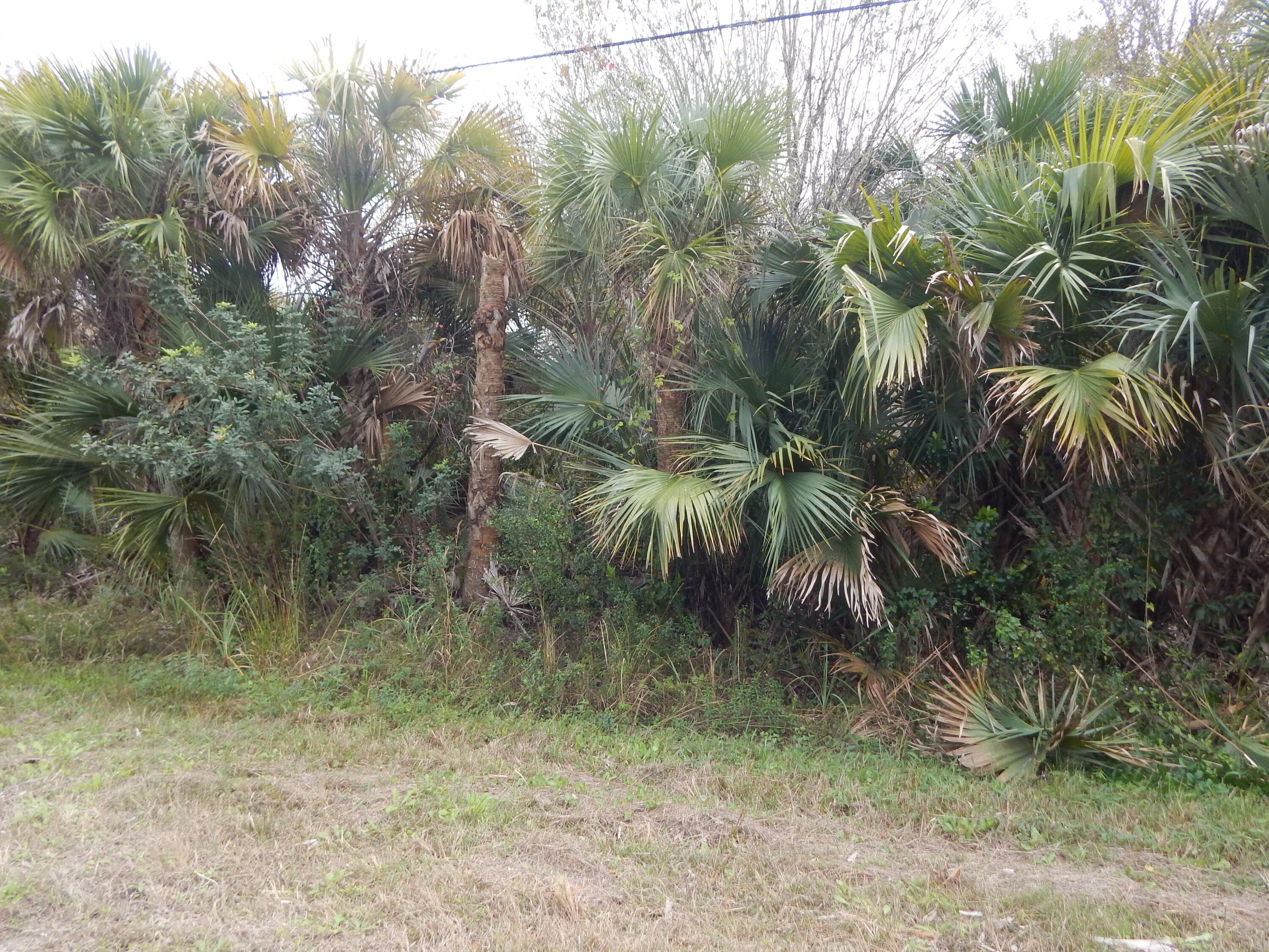 581 Avenida Del Sur, Clewiston, FL 33440 — photo 4 of 4