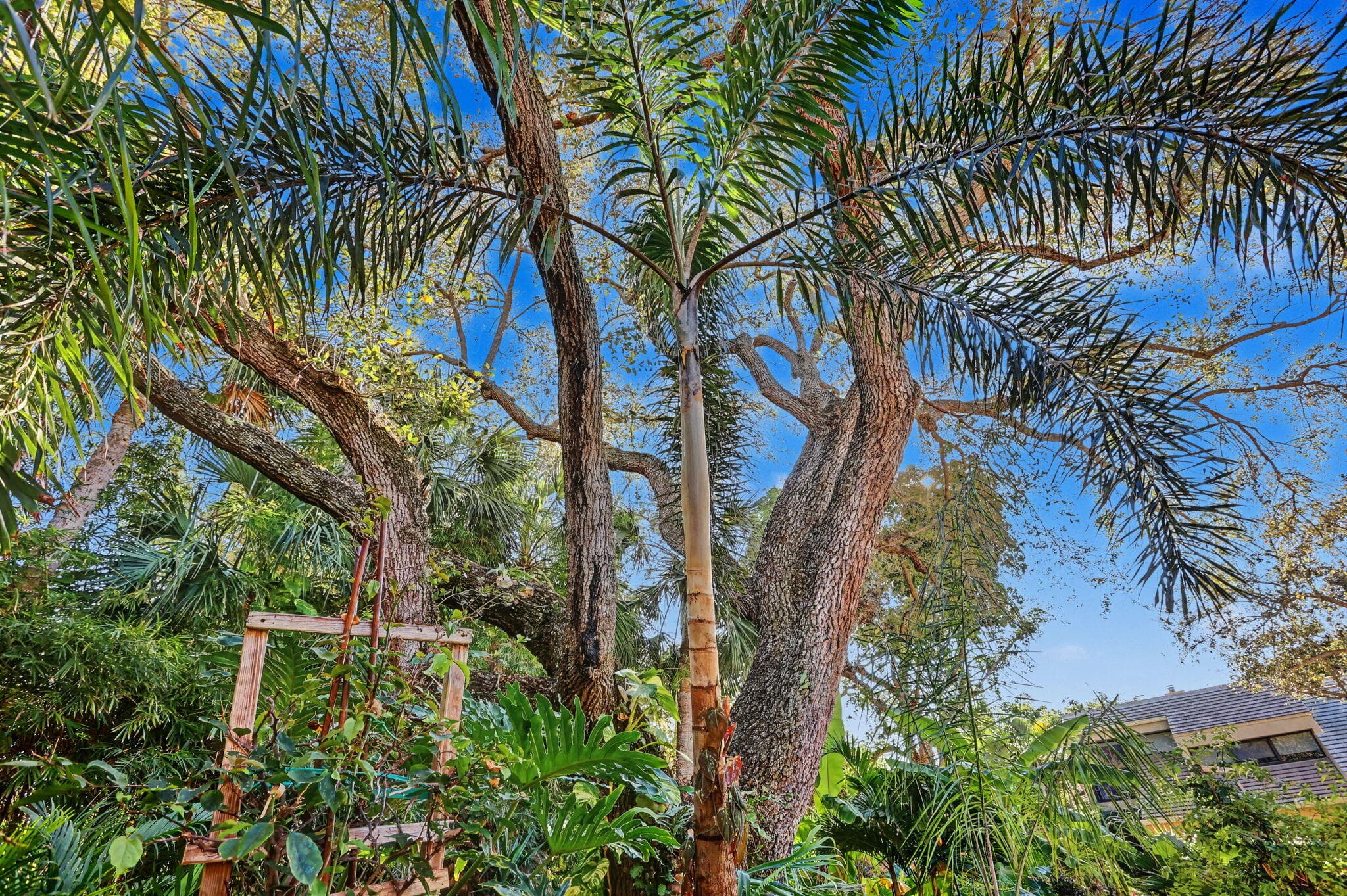 738 St Albans Drive, Boca Raton, FL 33486 — photo 40 of 50