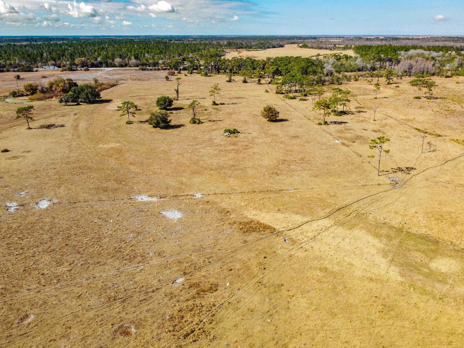 5151 S Kenansville Road, Okeechobee, FL 34972 — photo 20 of 31