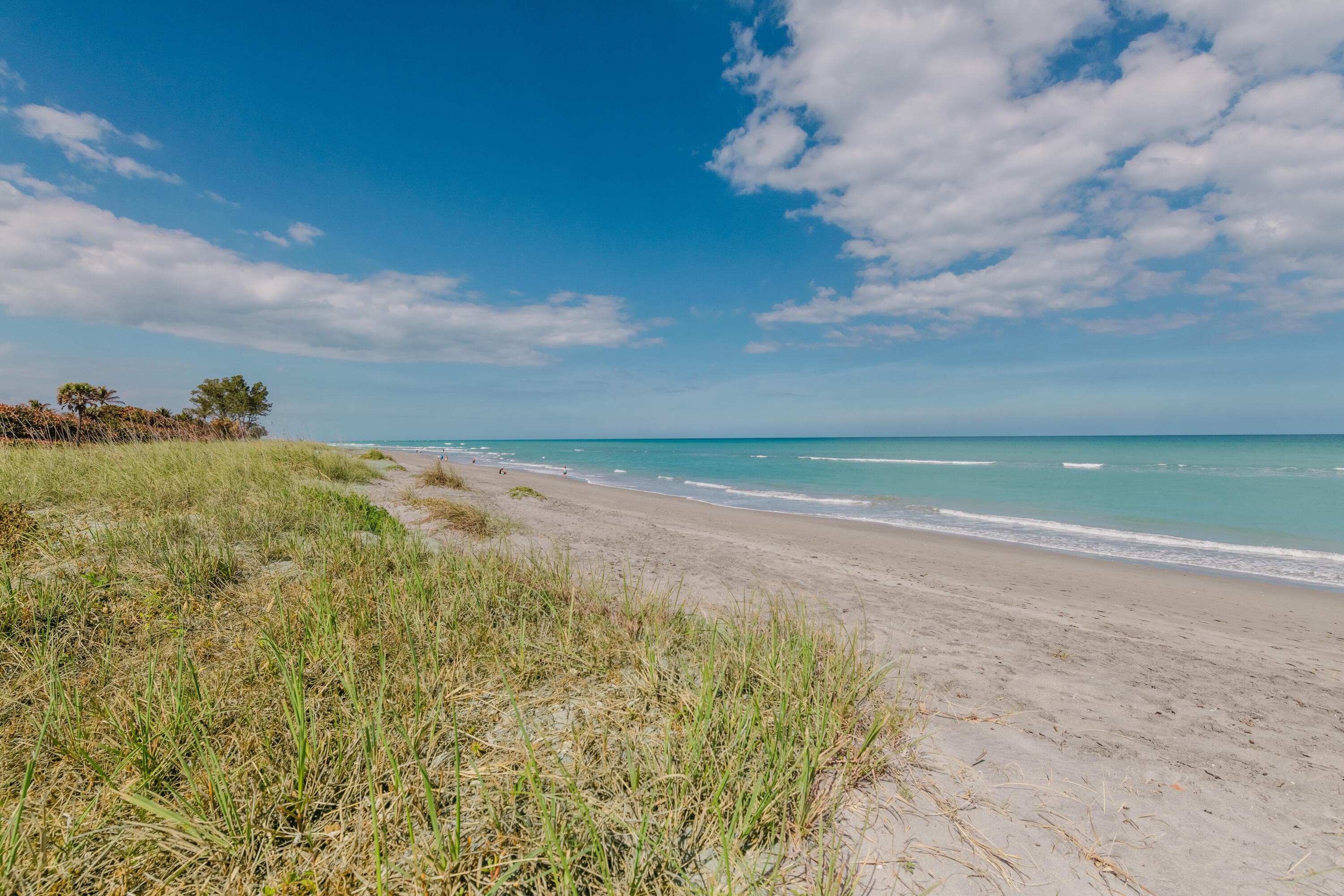 19 N Beach Road, Jupiter Island, FL 33455 — photo 65 of 80
