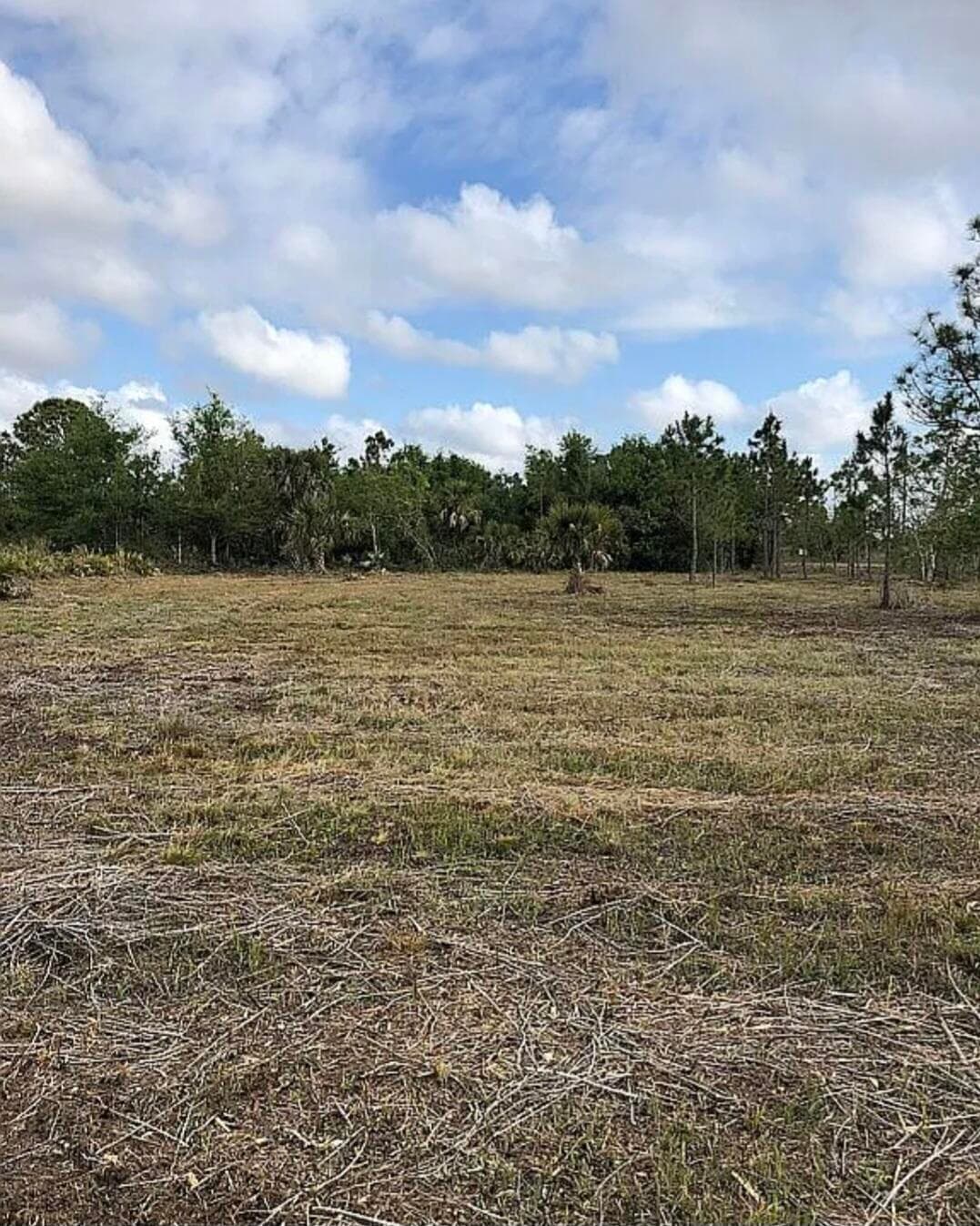 18826 NW 260th Street, Okeechobee, FL 34972 — photo 3 of 3