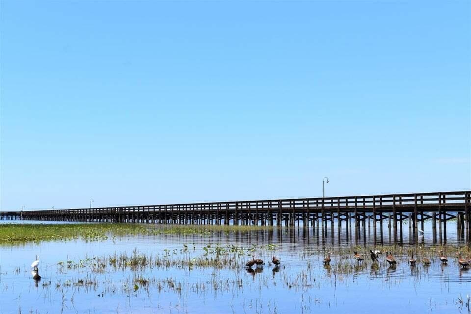 405 Pandora Drive, Indian Lake Estates, FL 33855 — photo 12 of 15