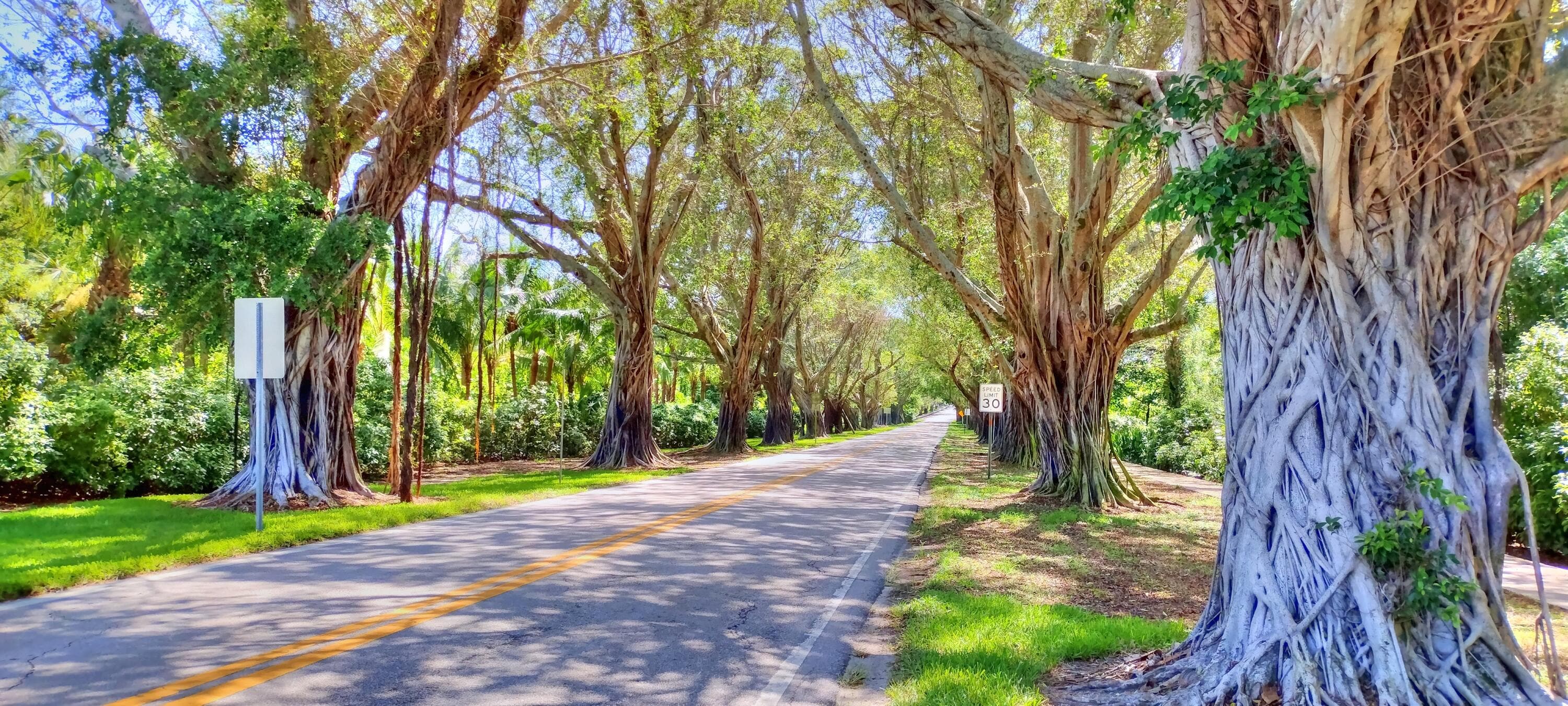 6115 SE Georgetown Place 1006, Hobe Sound, FL 33455 — photo 54 of 68