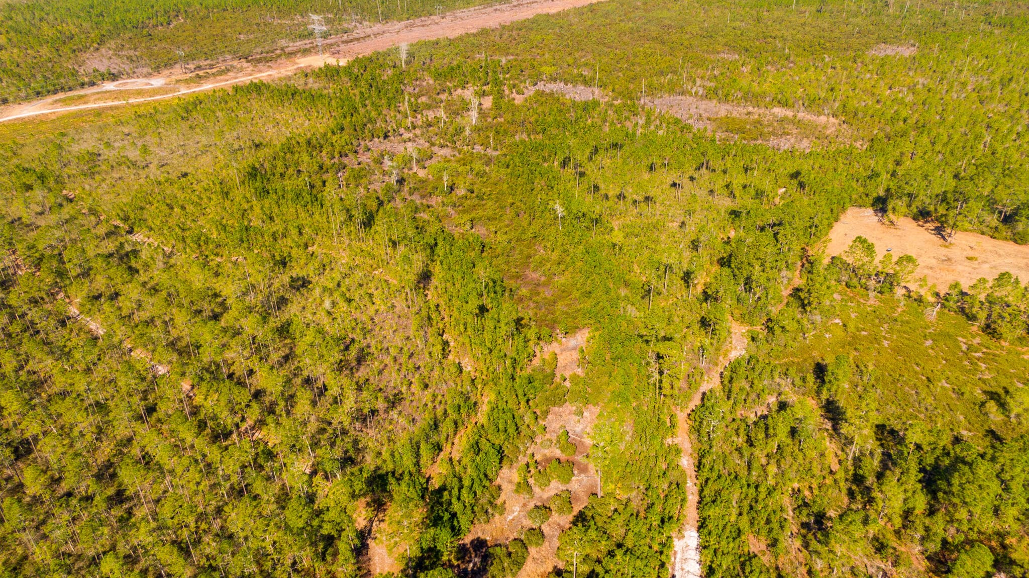 0000 Ne 125th Ave, Fort McCoy, FL 32134 — photo