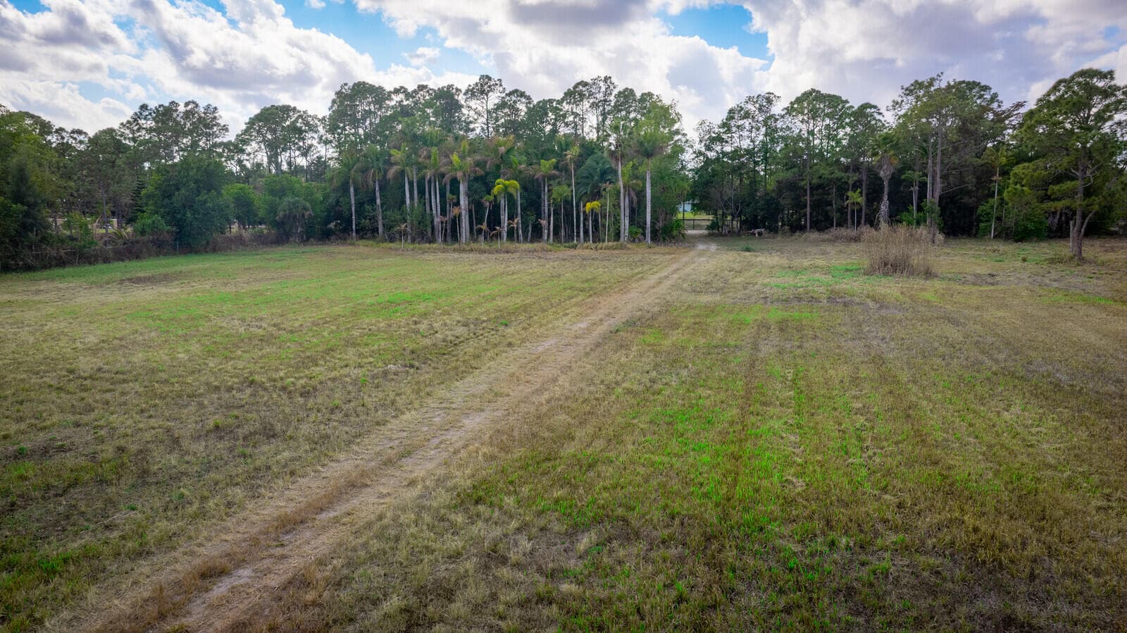 3852 161st Terrace N, Loxahatchee Groves, FL 33470 — photo 4 of 9