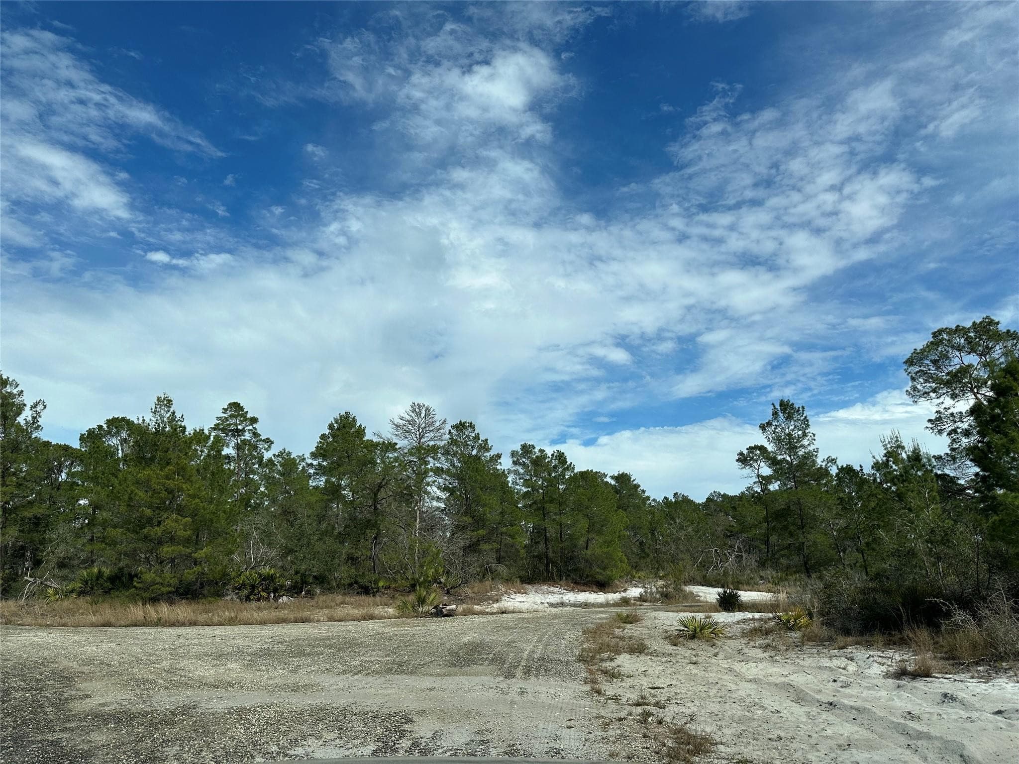 4508 Briarcliff Avenue, Sebring, FL 33875 — photo 2 of 2