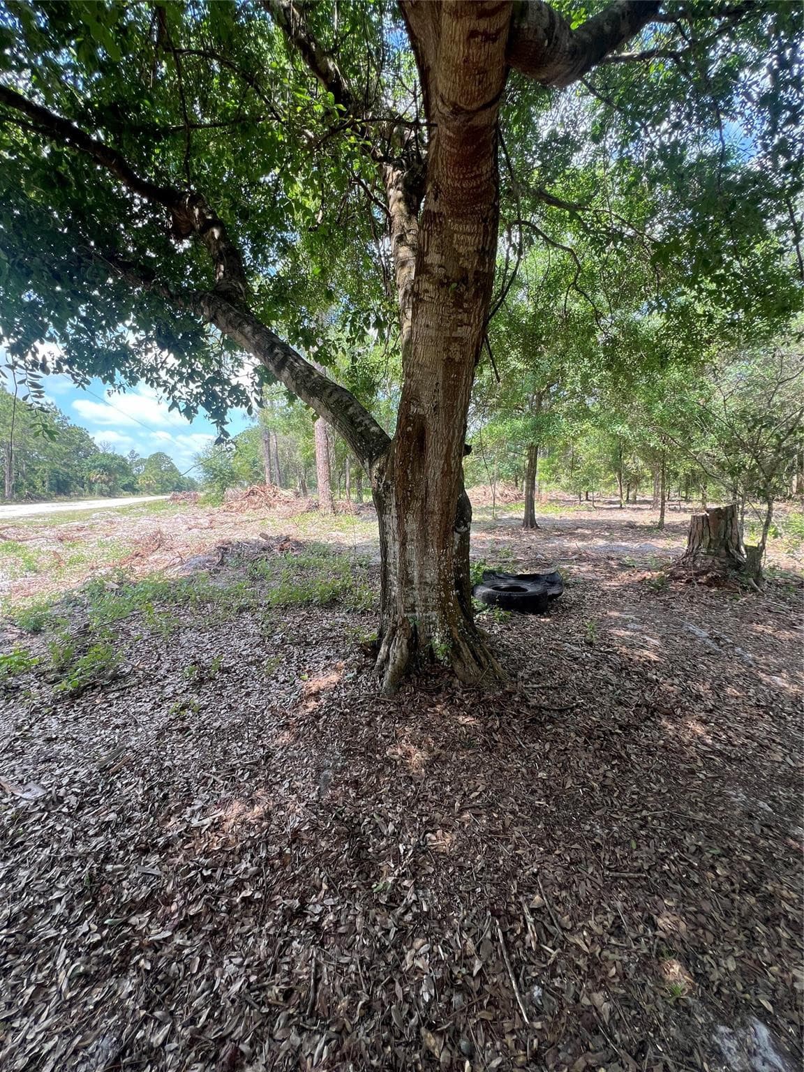 681 N Perimeter Road, Clewiston, FL 33440 — photo 3 of 5