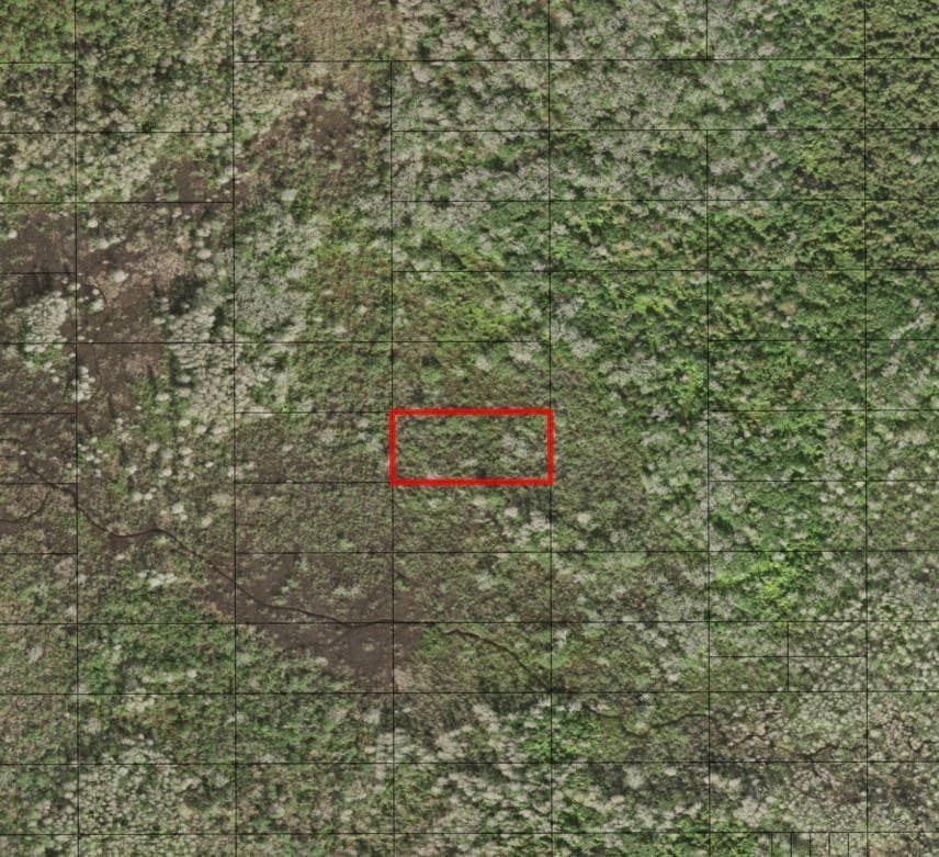 0 Holopaw Groves Road, St. Cloud, FL 34772 — photo 2 of 2