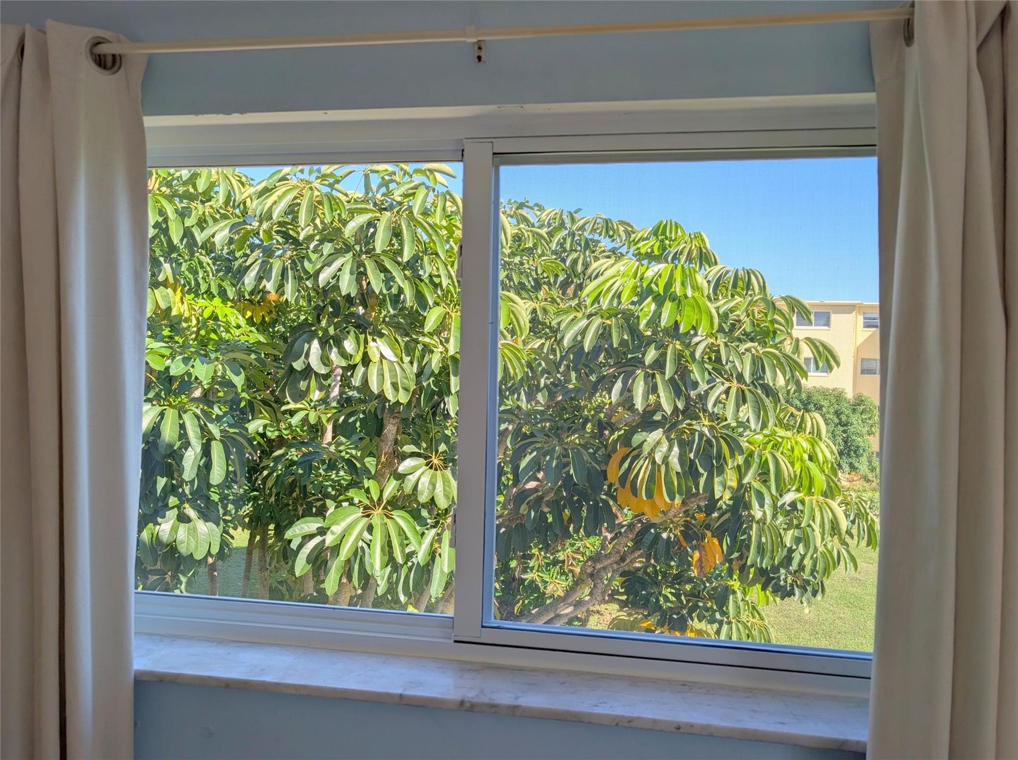 330 NE 26th Avenue 318, Boynton Beach, FL 33435 — photo 14 of 67