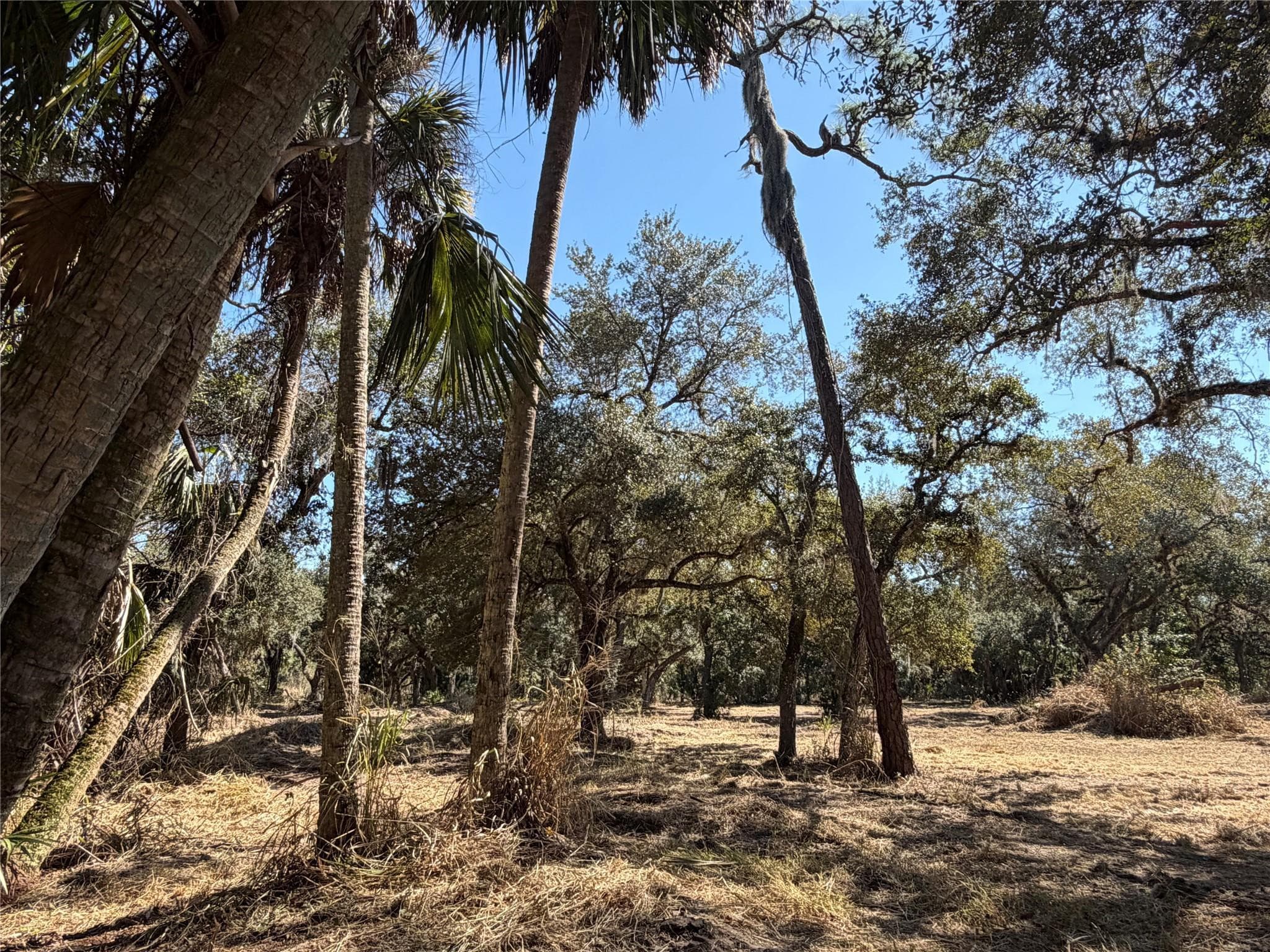 Tbd SE 40th Avenue, Okeechobee, FL 34974 — photo 2 of 7