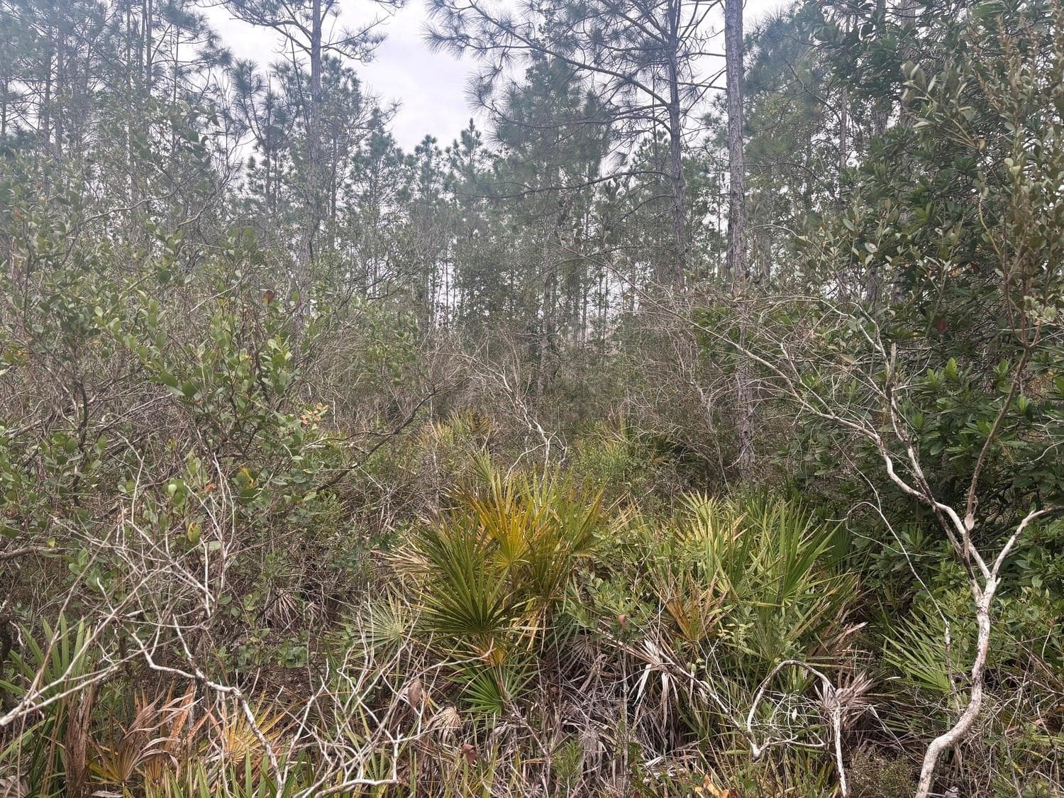 0 Old Grade Road, FL 33868 — photo 1 of 3