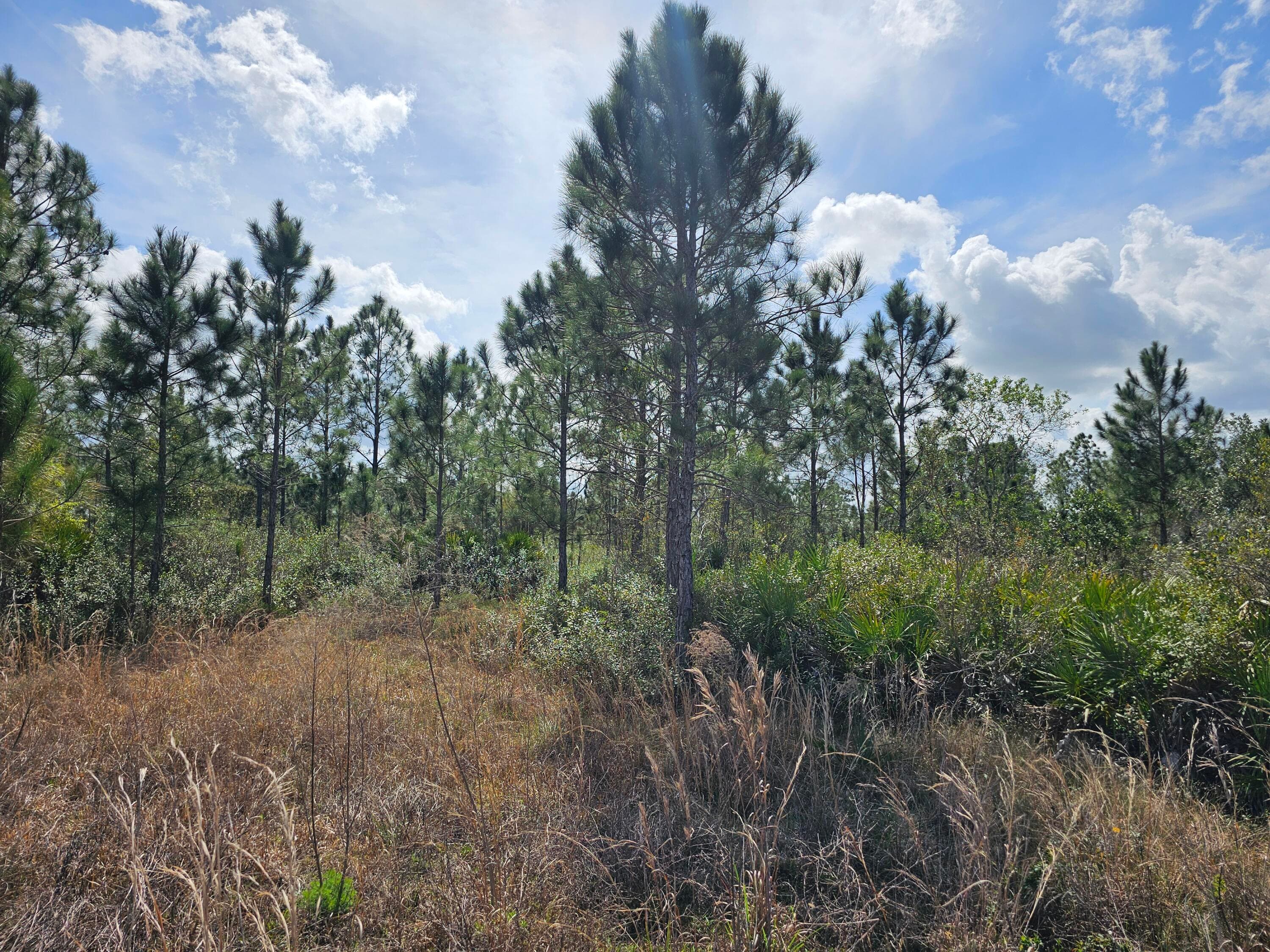 17720 NW 268th Street, Okeechobee, FL 34972 — photo 5 of 11