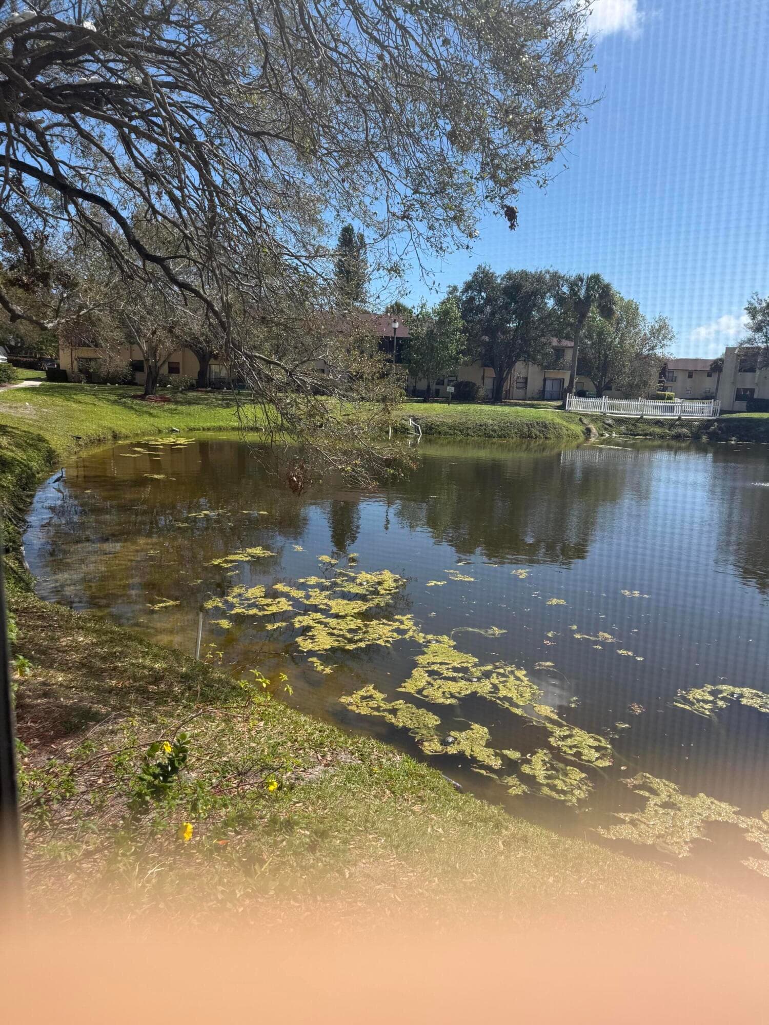 2025 Oleander Boulevard 105, Fort Pierce, FL 34982 — photo 12 of 16