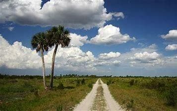 17231 NW 268th Street, Okeechobee, FL 34972 — photo 20 of 22
